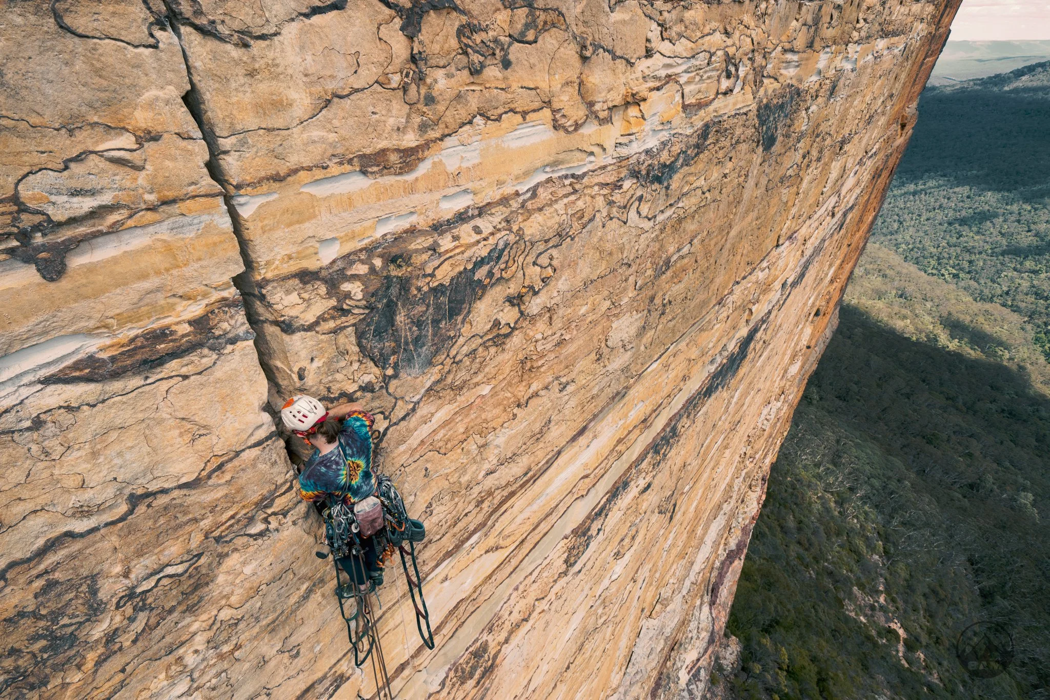 231007 - 231007 - Gigantor - 0015 of 0026_.jpg