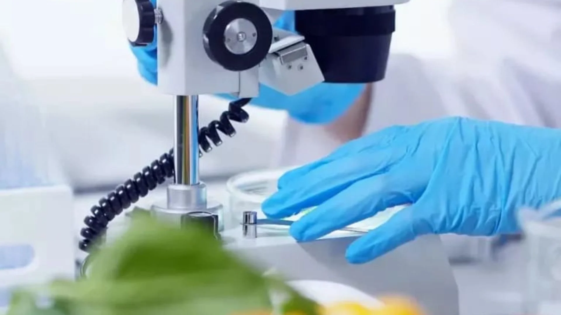 Fresh Inset Secures €4M featured visual