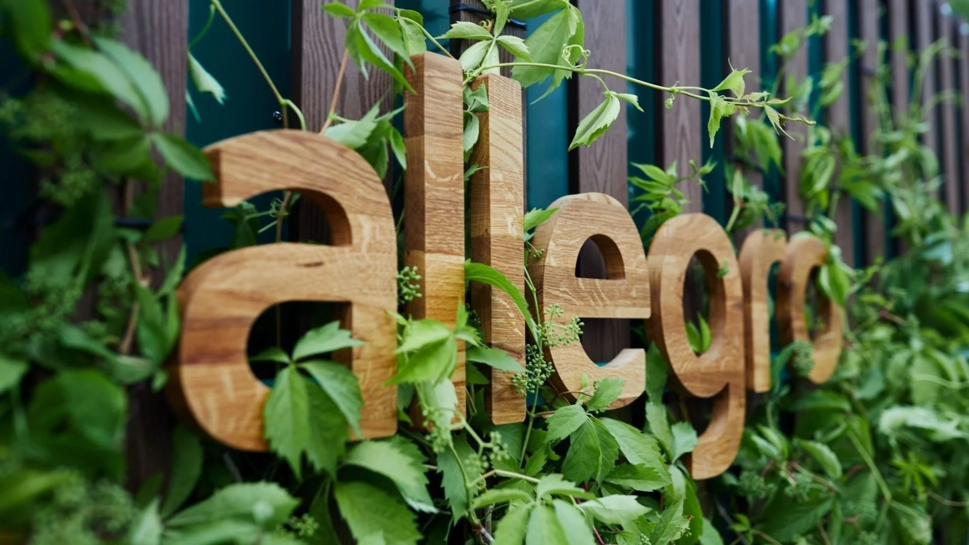 A Turning Point for Poland’s E-Commerce Pioneer featured visual