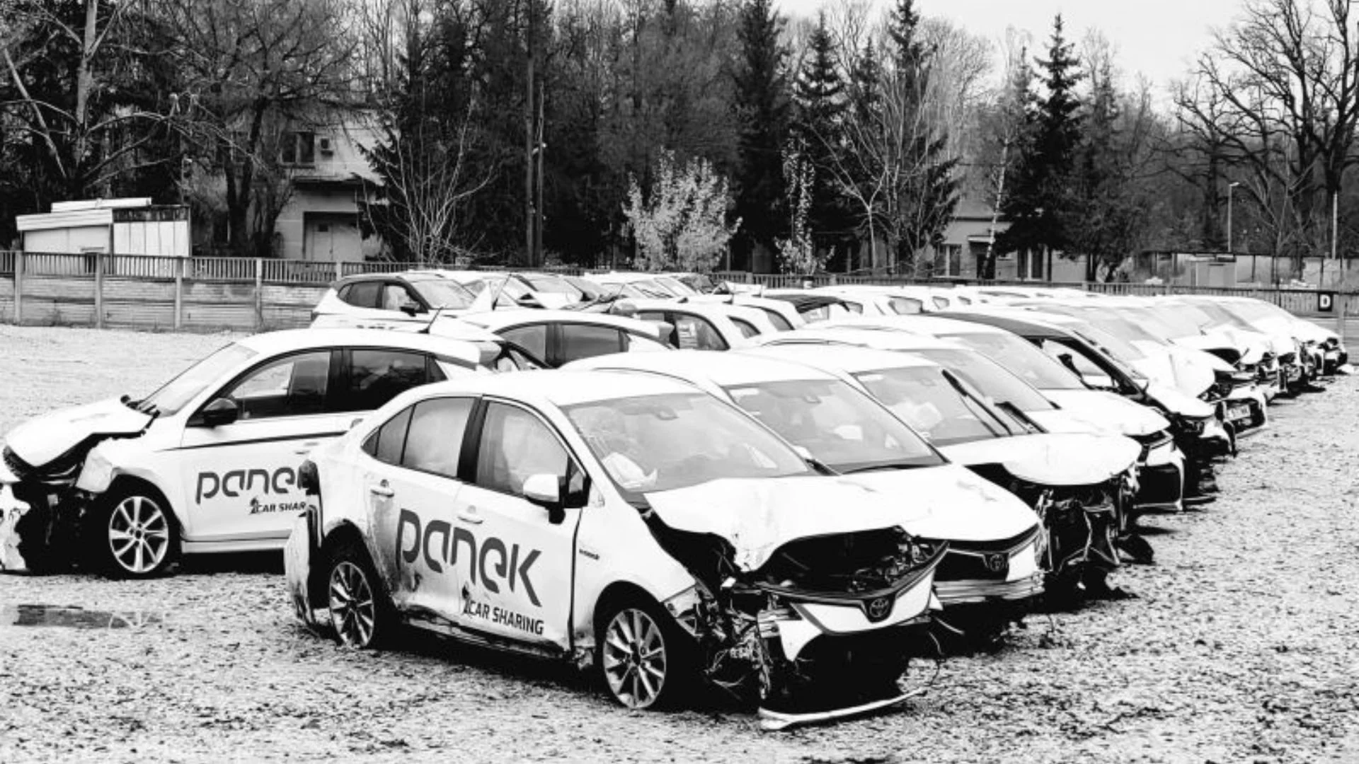 Panek CarSharing Bows Out featured visual