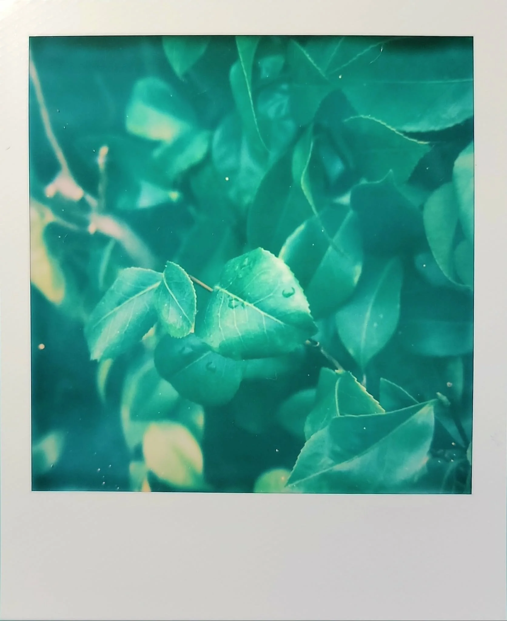 Fast shutter - manual mode