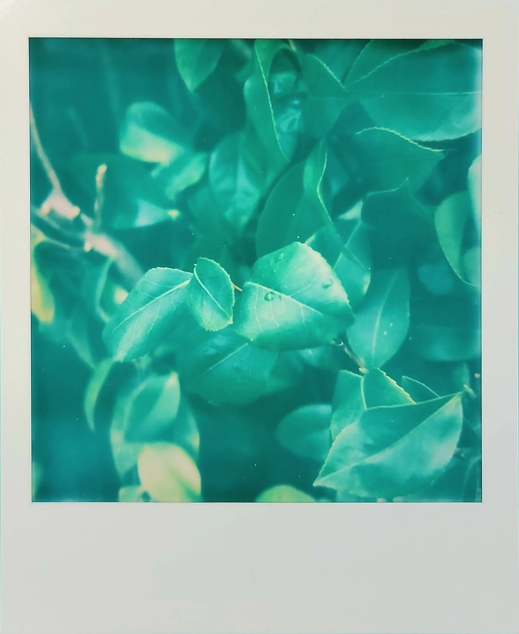 Fast shutter - auto mode