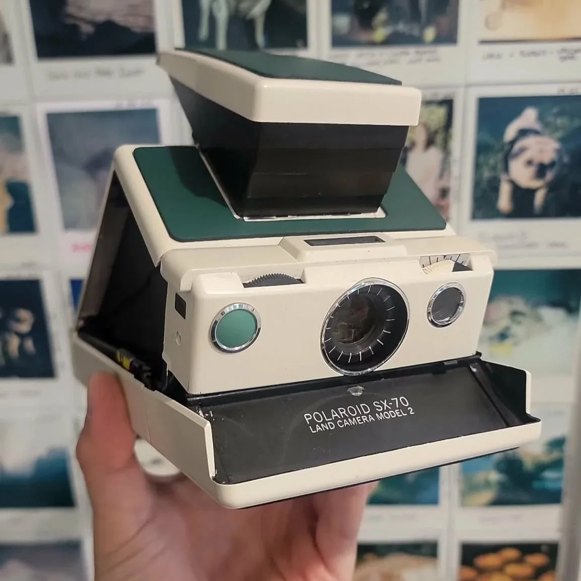 A person holding a vintage Polaroid SX-70 instant land camera with its folding body open, showing the camera's lens and viewfinder, against a background of assorted photographs on a wall.