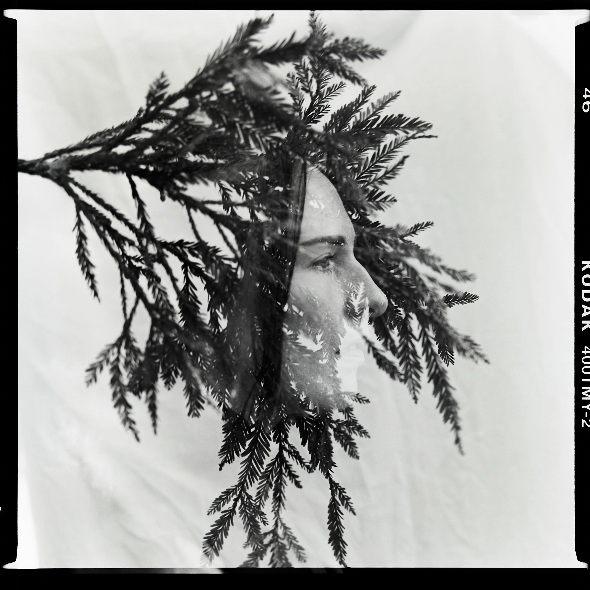 A black and white photo of a person's face, viewed in profile, with tree branches overlayed over their head.