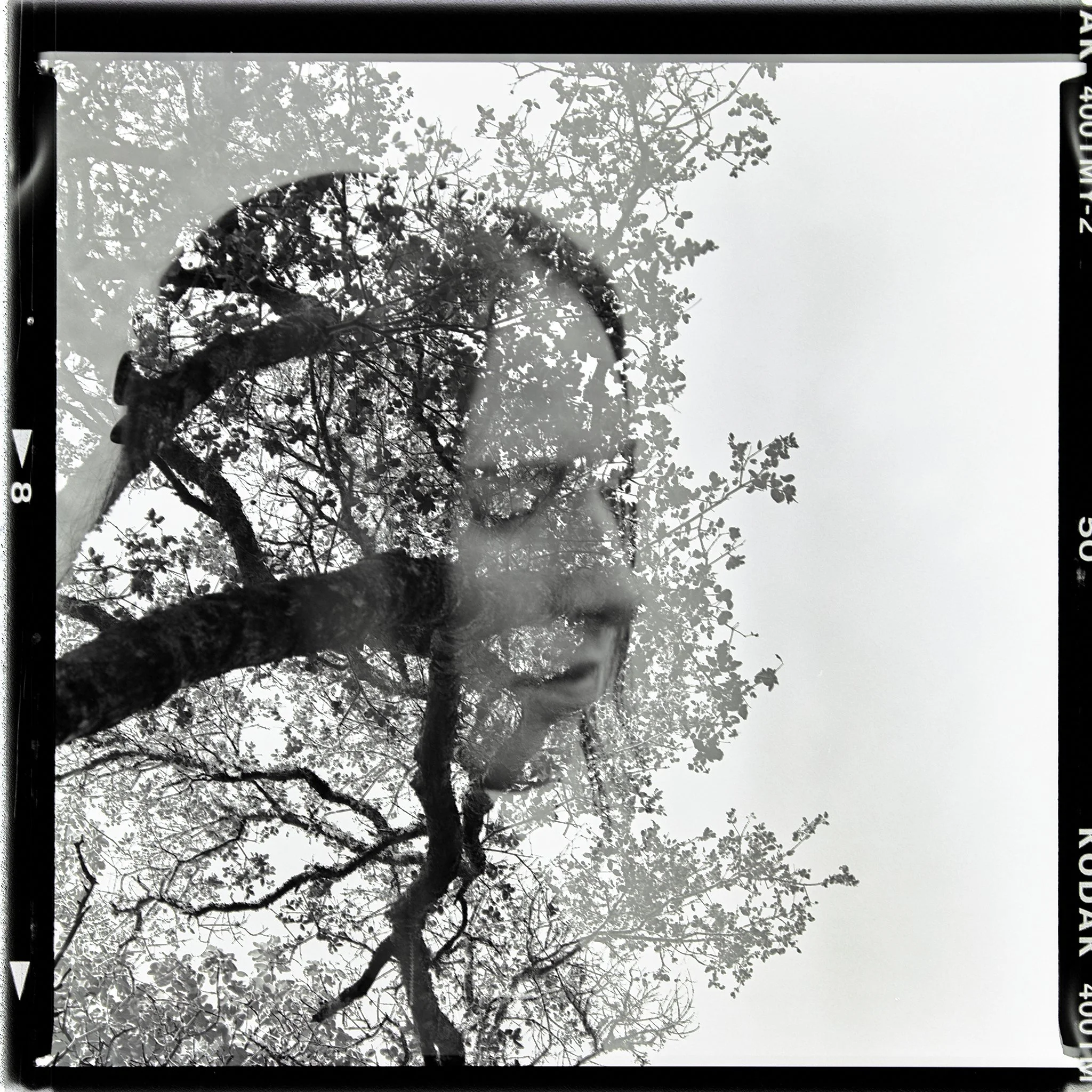 Black and white double exposure photograph featuring a person's face and tree branches with leaves.