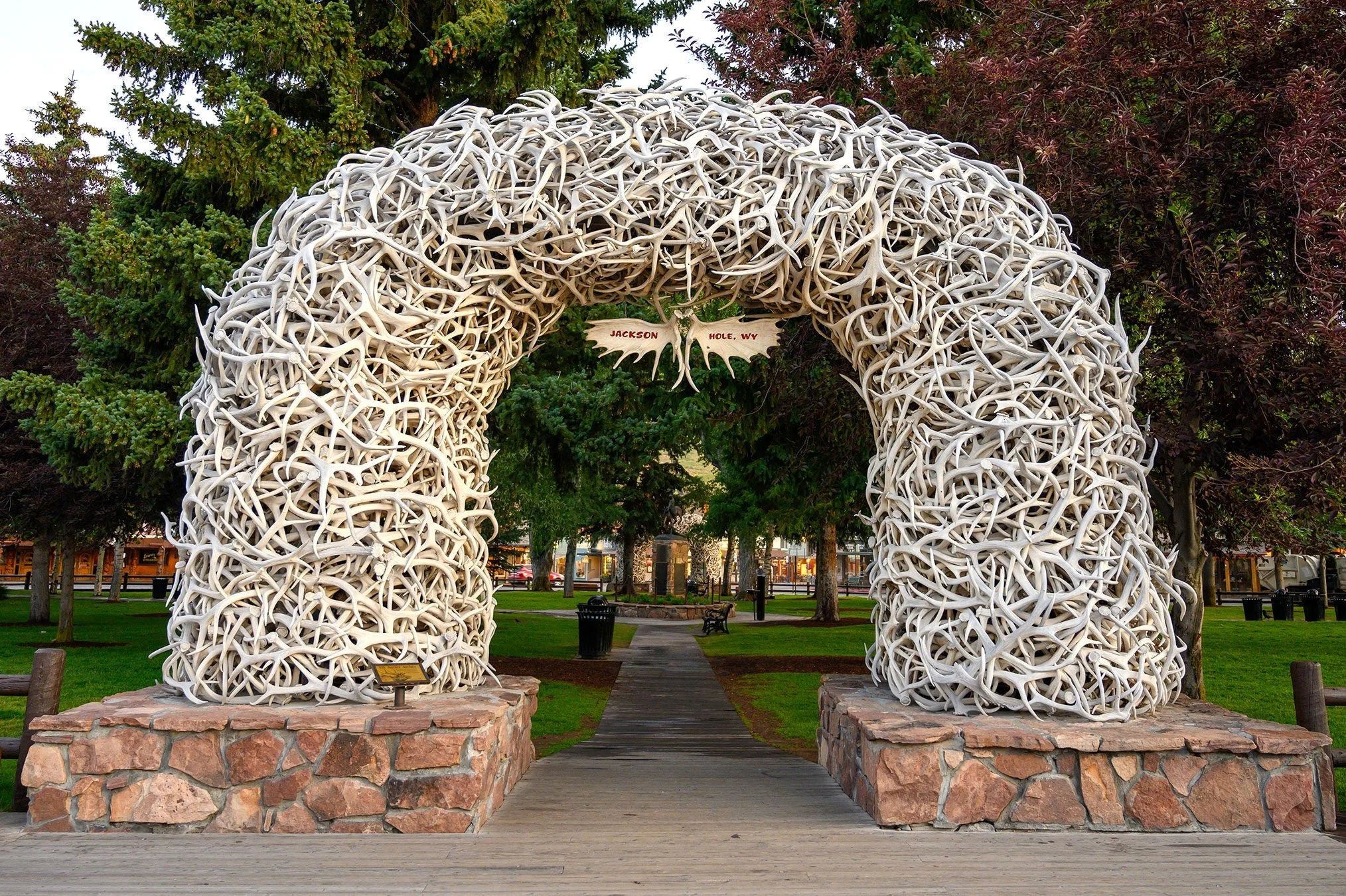  No. 245 - Thirty Years & Jackson Hole