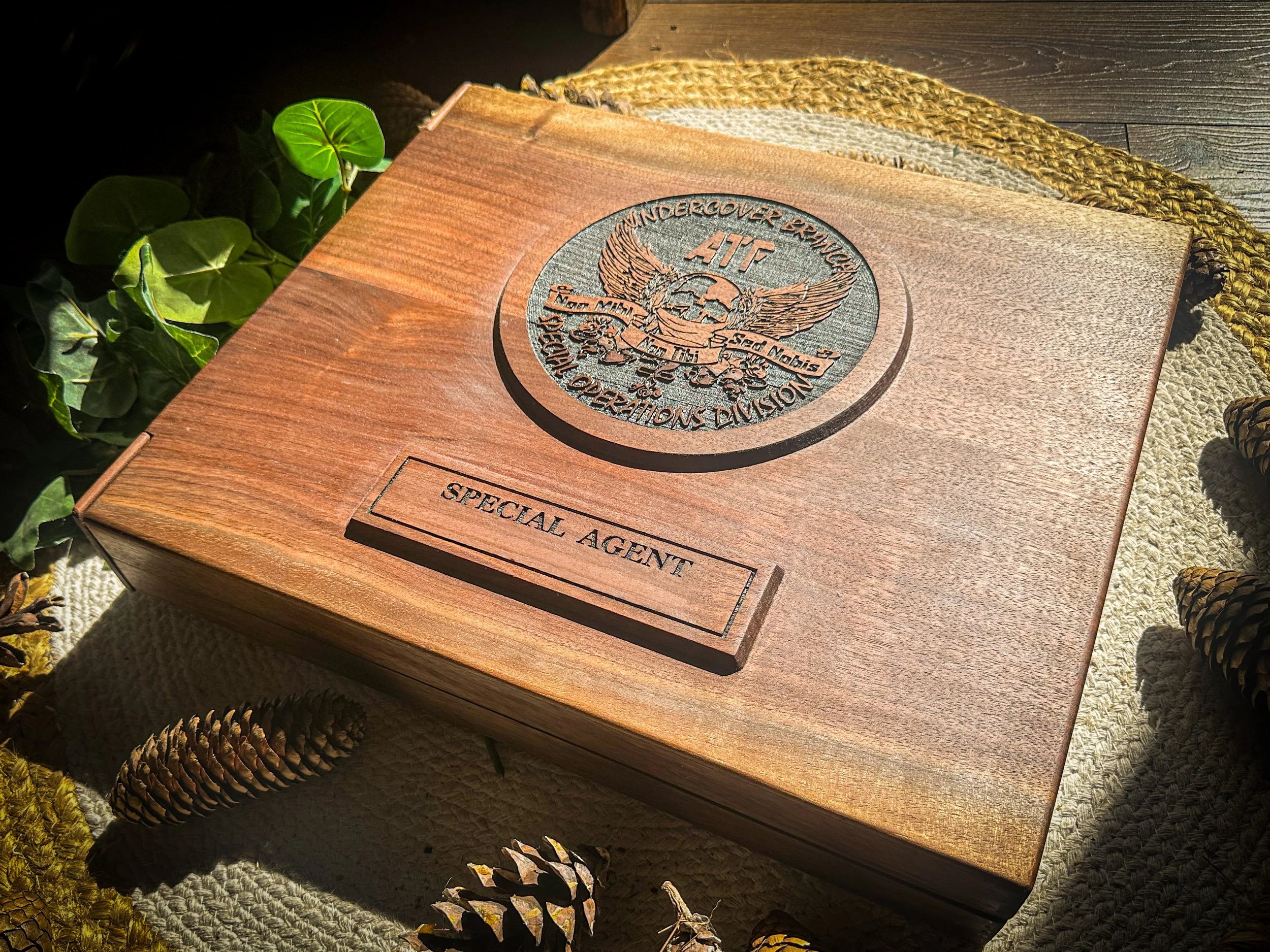 20241004_190049408_iOS (2).jpg