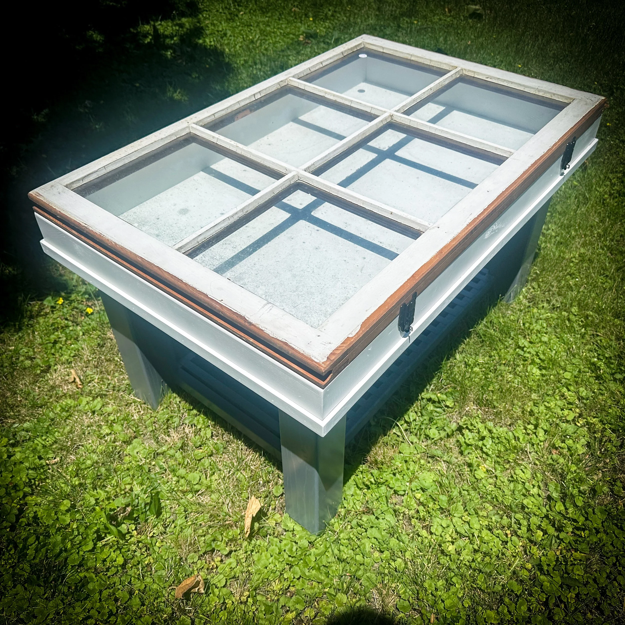 20250621_173746576_iOS 2.jpg