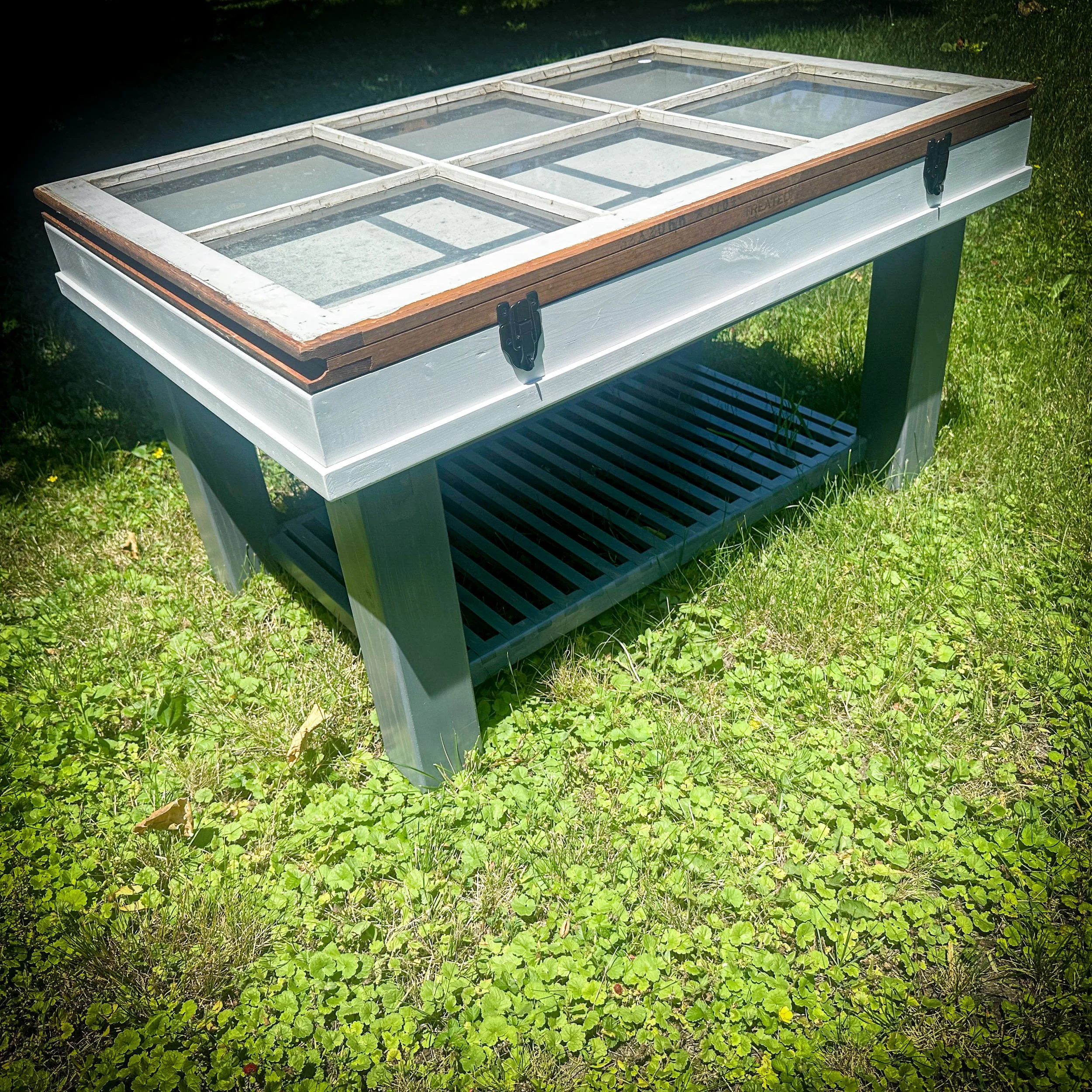 20250621_173807791_iOS 2.jpg