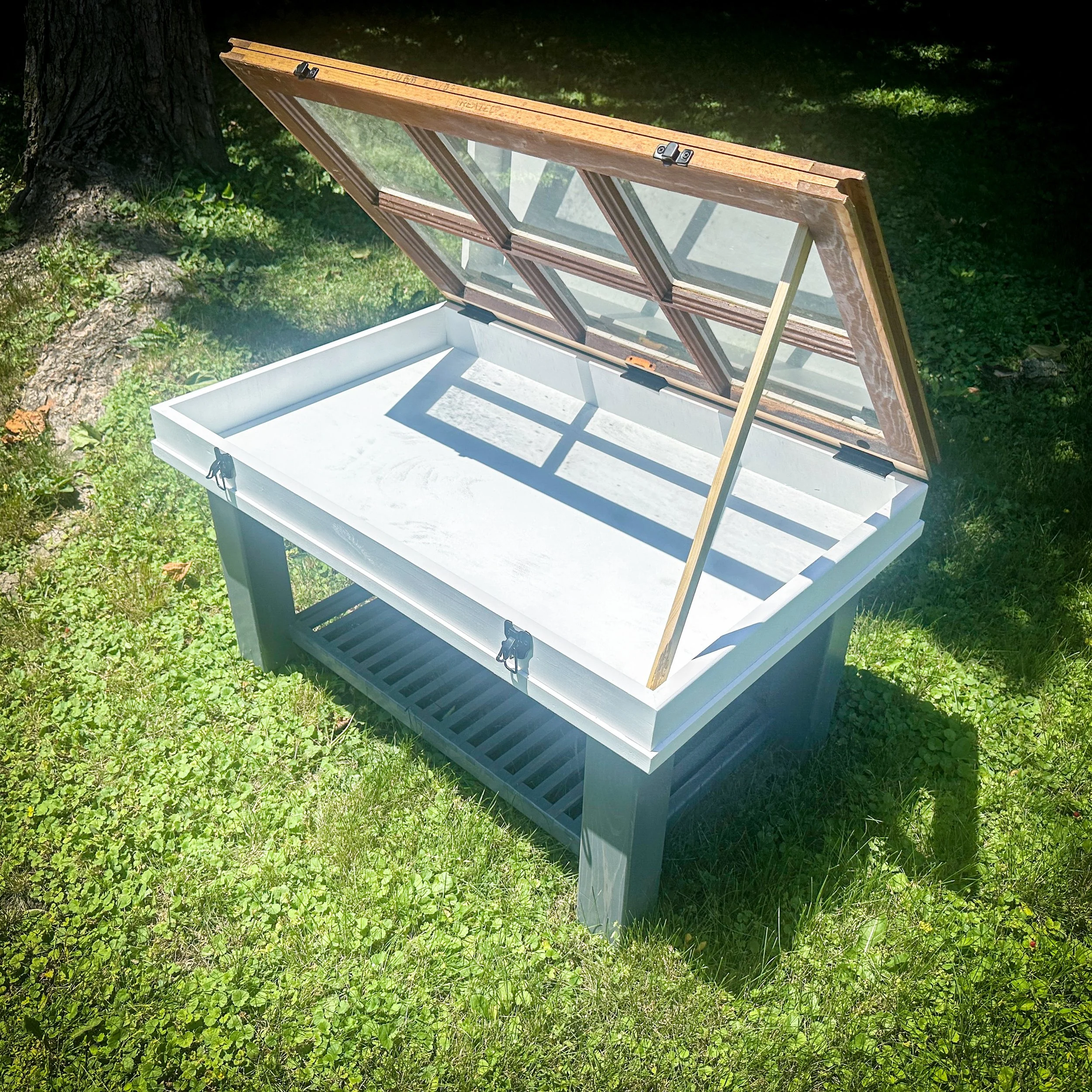 20250621_173922339_iOS 2.jpg