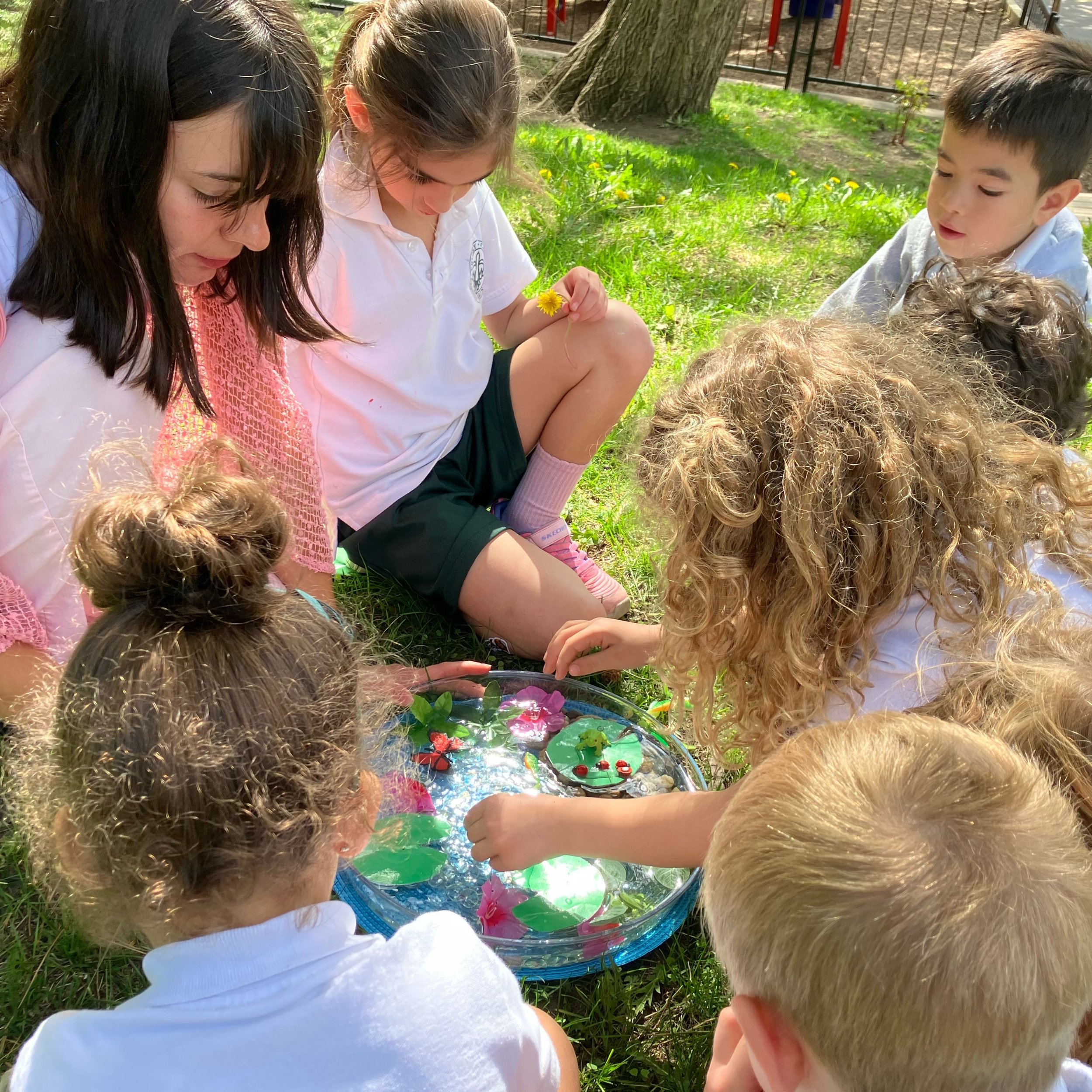 A little pond, a few frogs, and a lot of mathematical thinking! Our K4 students created and solved their own word problems today, turning math into a joyful, hands-on experience.

Un petit &eacute;tang, quelques grenouilles et beaucoup de r&eacute;fl
