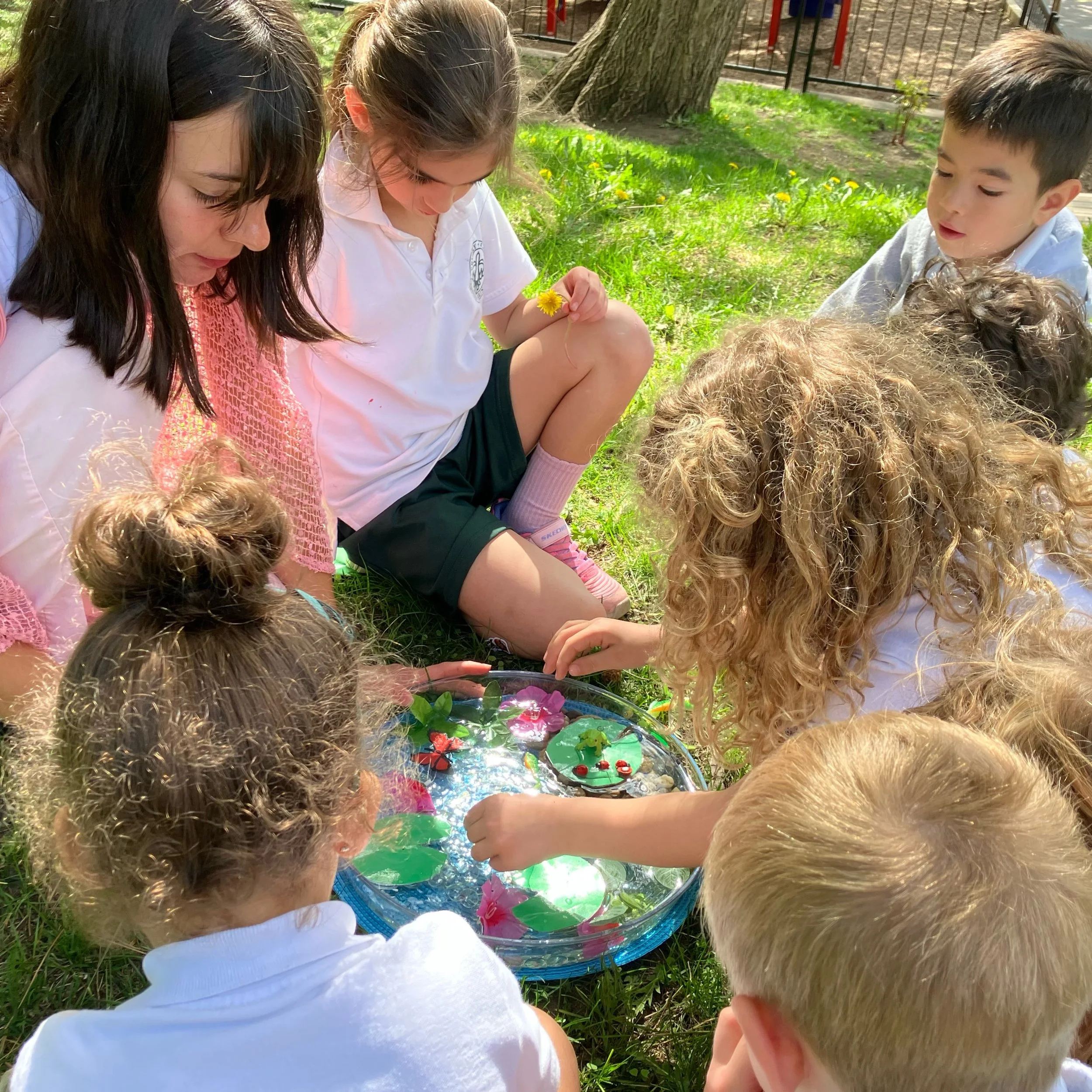 A little pond, a few frogs, and a lot of mathematical thinking! Our K4 students created and solved their own word problems today, turning math into a joyful, hands-on experience.

Un petit &eacute;tang, quelques grenouilles et beaucoup de r&eacute;fl
