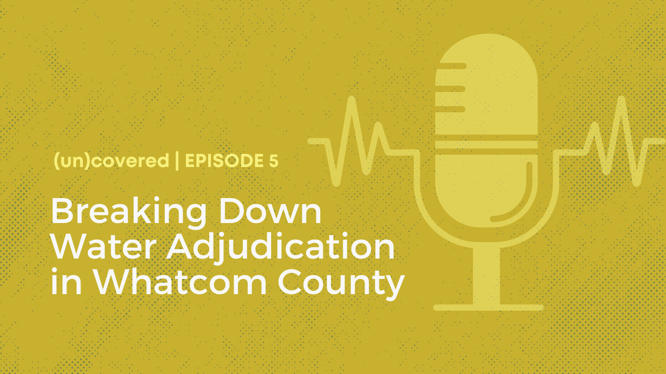 Breaking Down Water Adjudication in Whatcom County