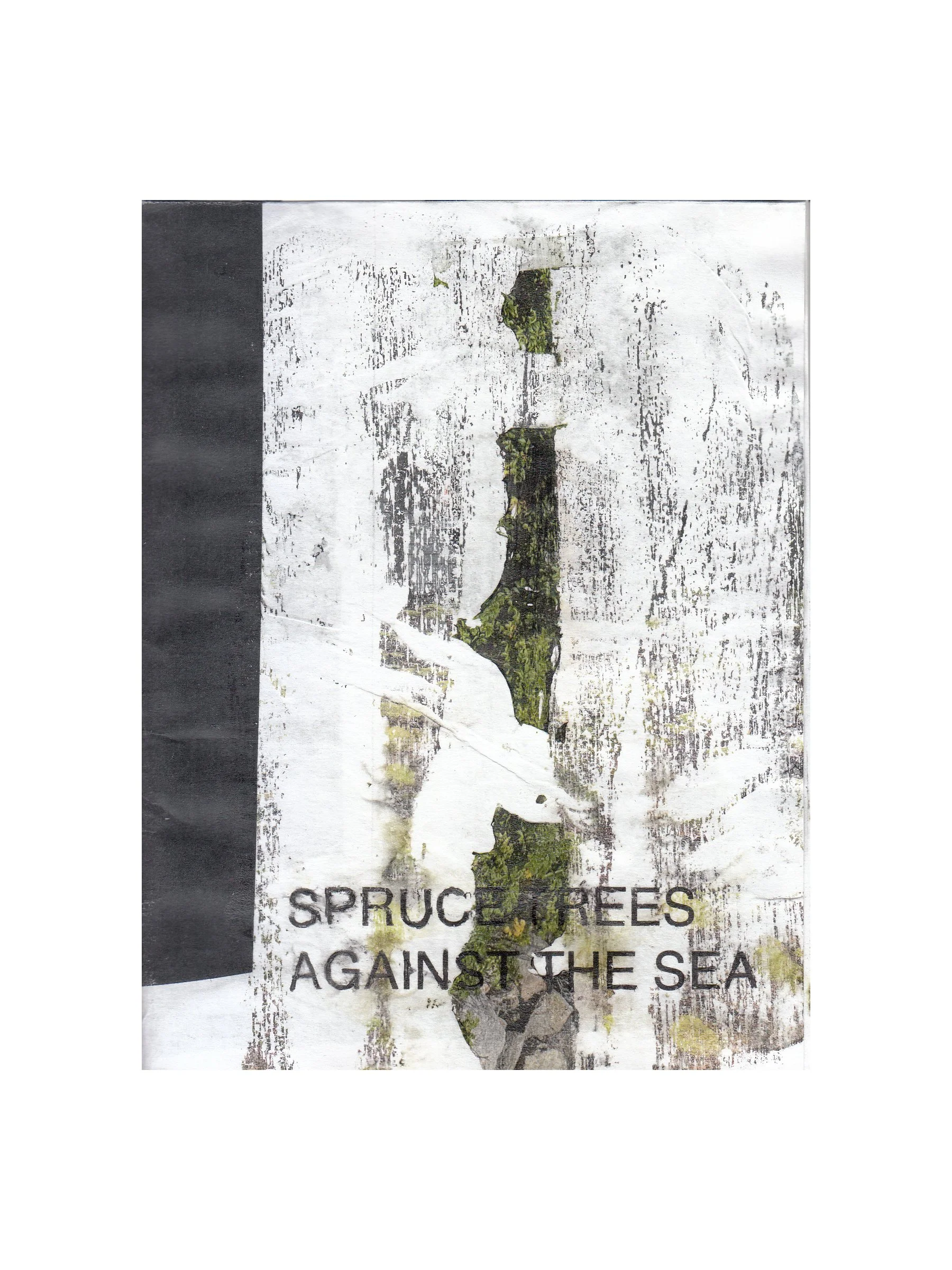 Haystack Zine 1_0001.jpg