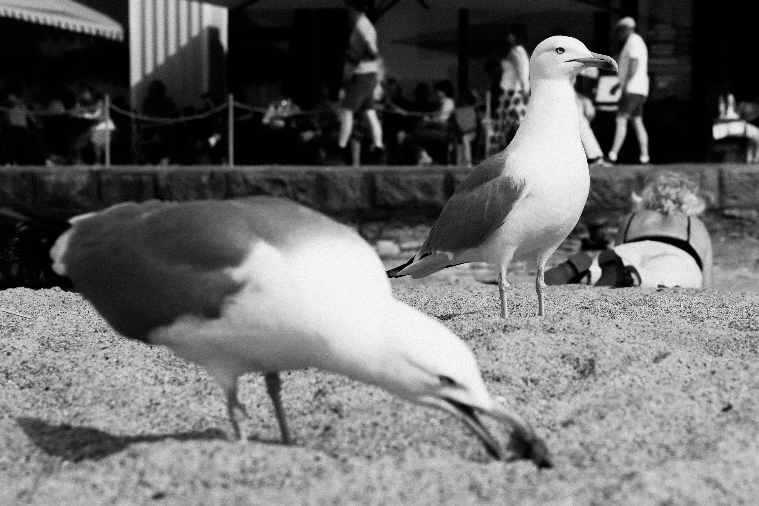 Adrienn-Nagy-Photography-Monochrome-LA-PLAGE-9.jpg
