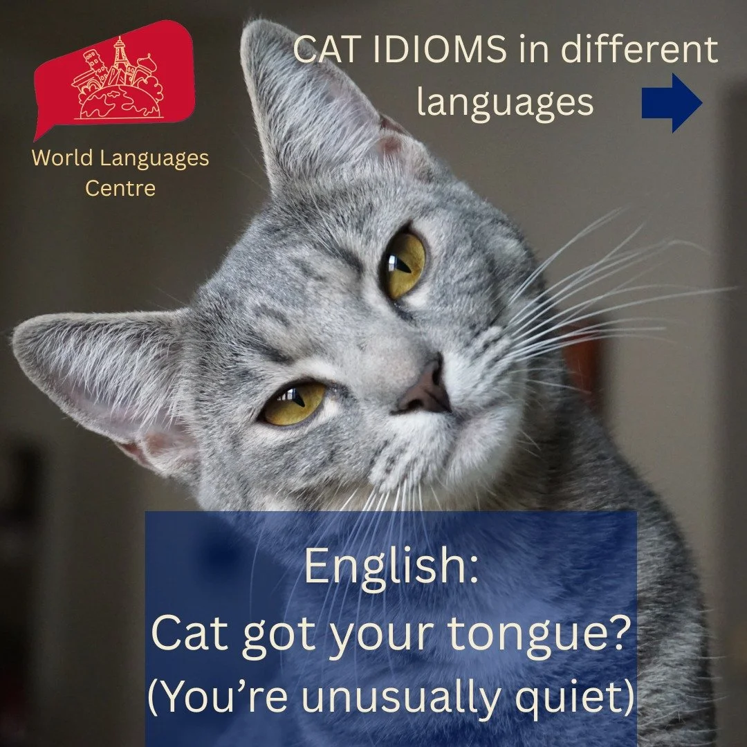 It's #internationalcatday ! 🐱🐱In honour of our cute furry friends, here are some idioms with the word 'cat' in different languages. Do you know any others? is there an equivalent in your language? Comment below!
