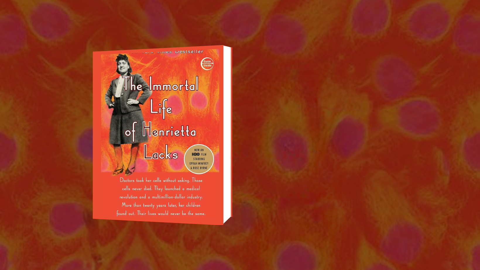 Bookworm's Buffet: Book Club