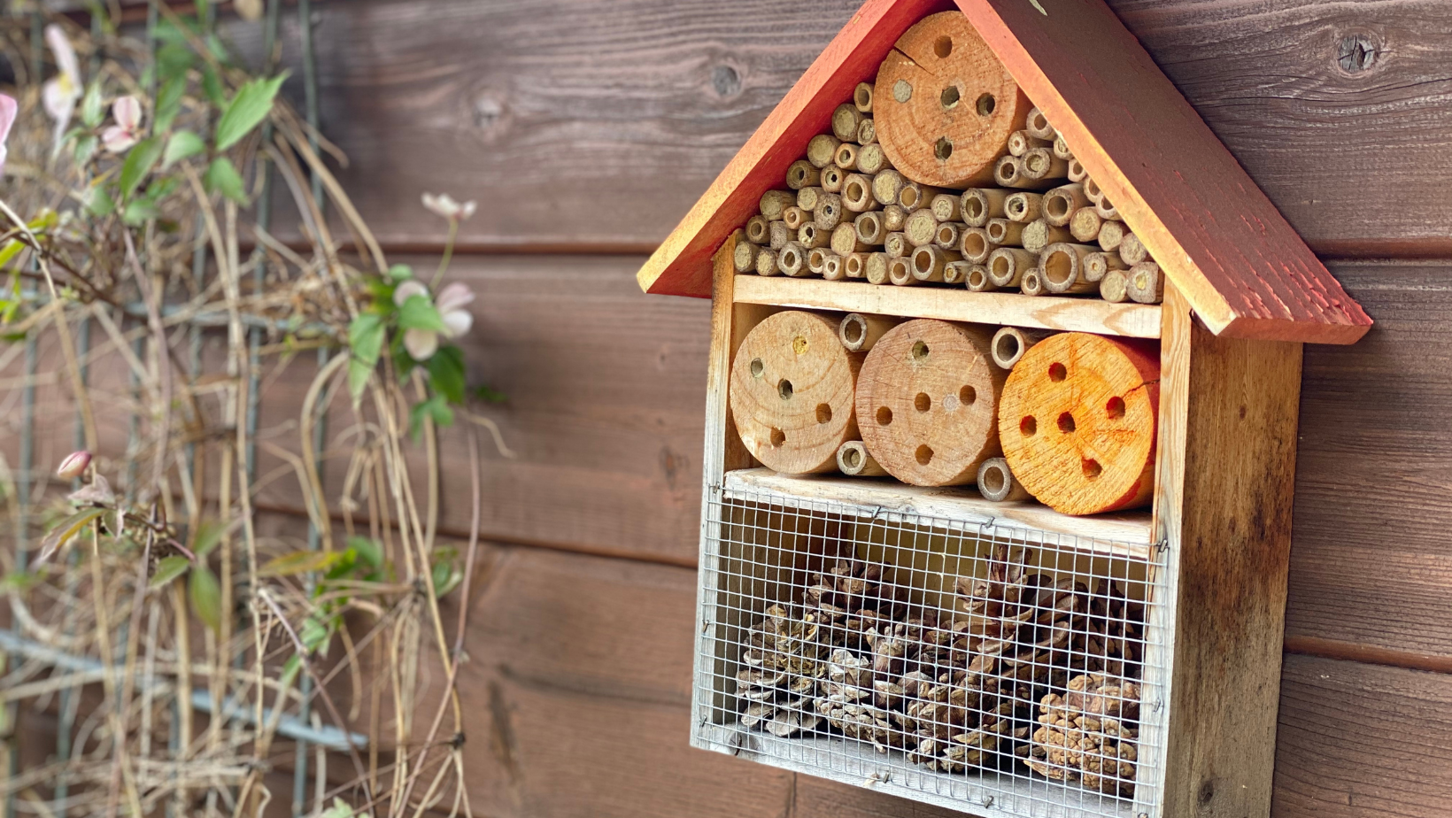 Build Your Own Solitary Bee Hotel