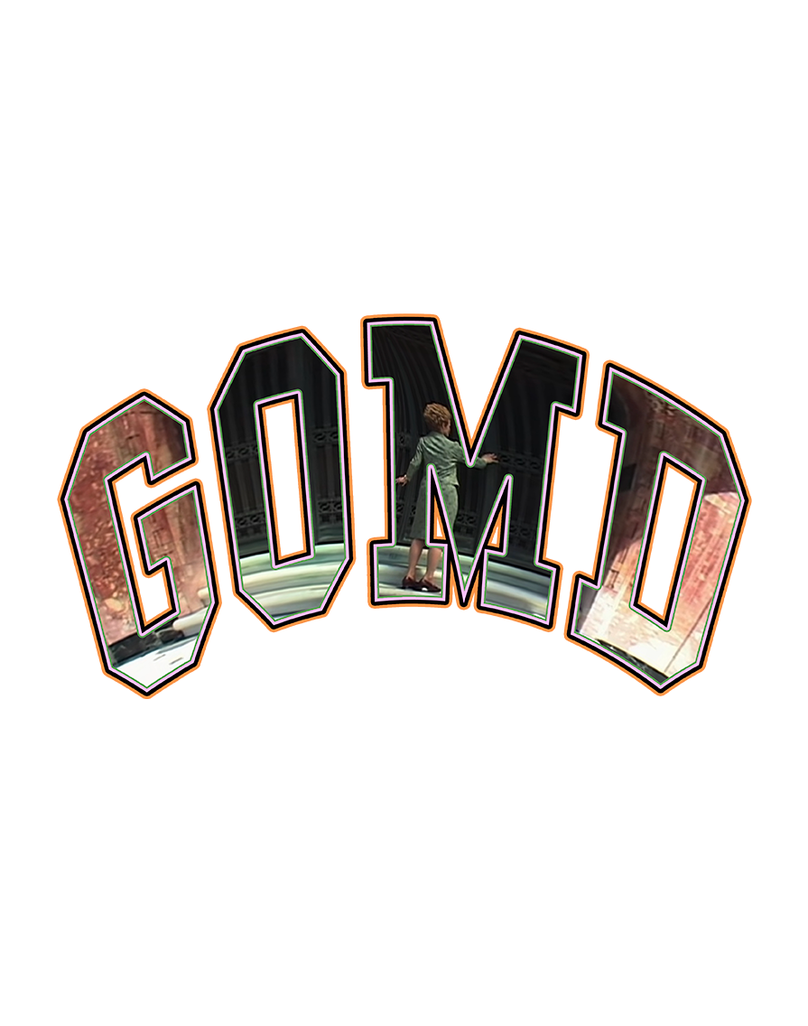 GOMD FLAVORS SELECTION