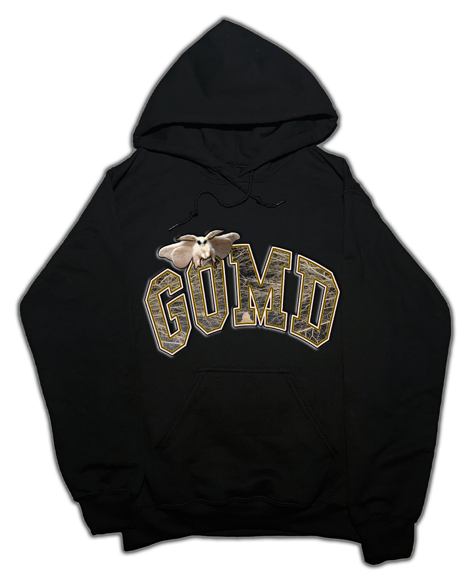BLACK HOOD MOTH.png