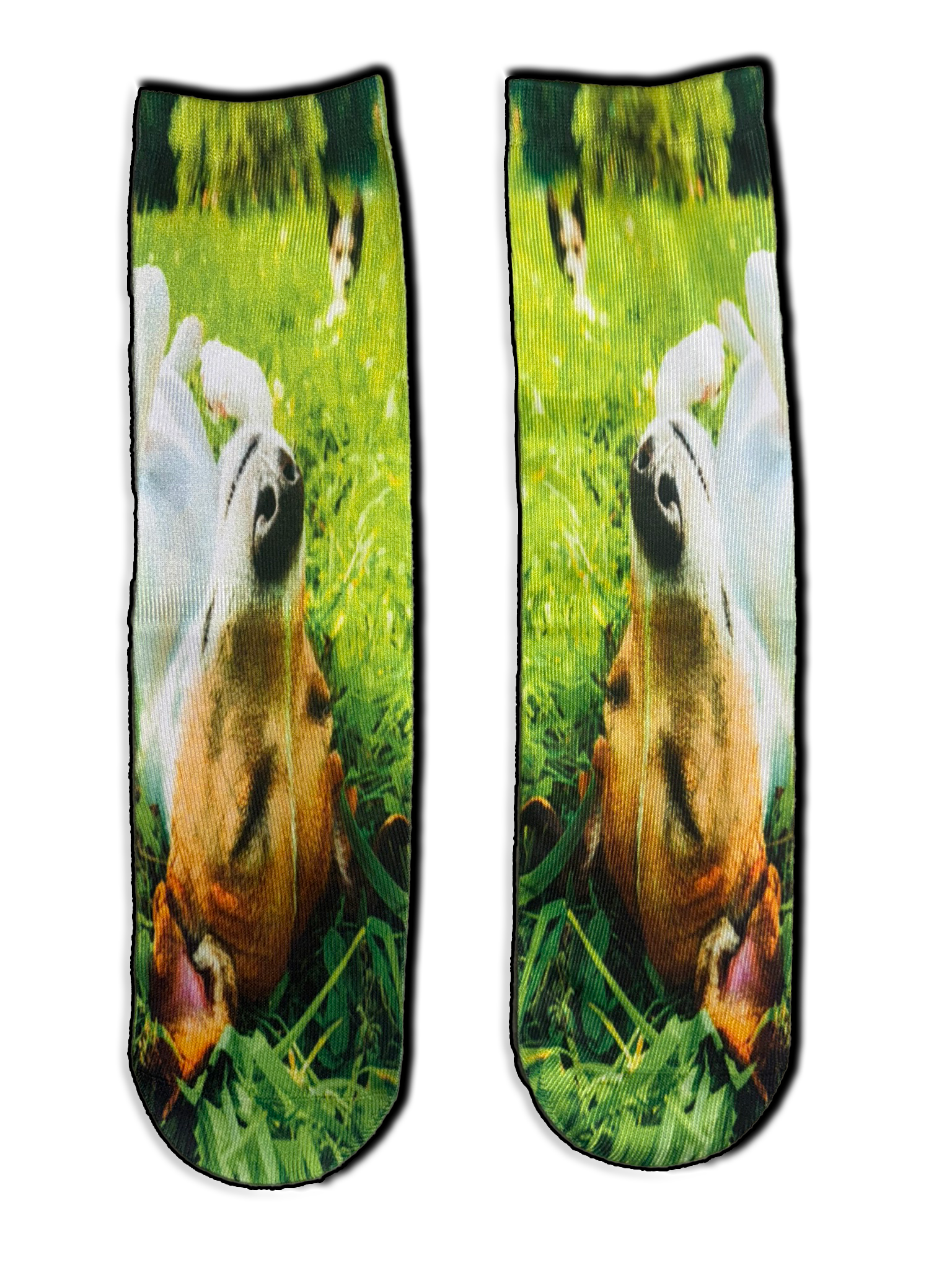 front sox dog.png