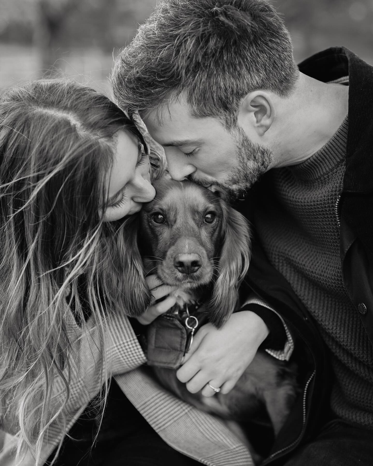 @tobey.thecockerspaniel stealing the limelight on this engagement shoot (but we don&rsquo;t mind..🥹) 

#engagementshoot💍 #weddingphotographer