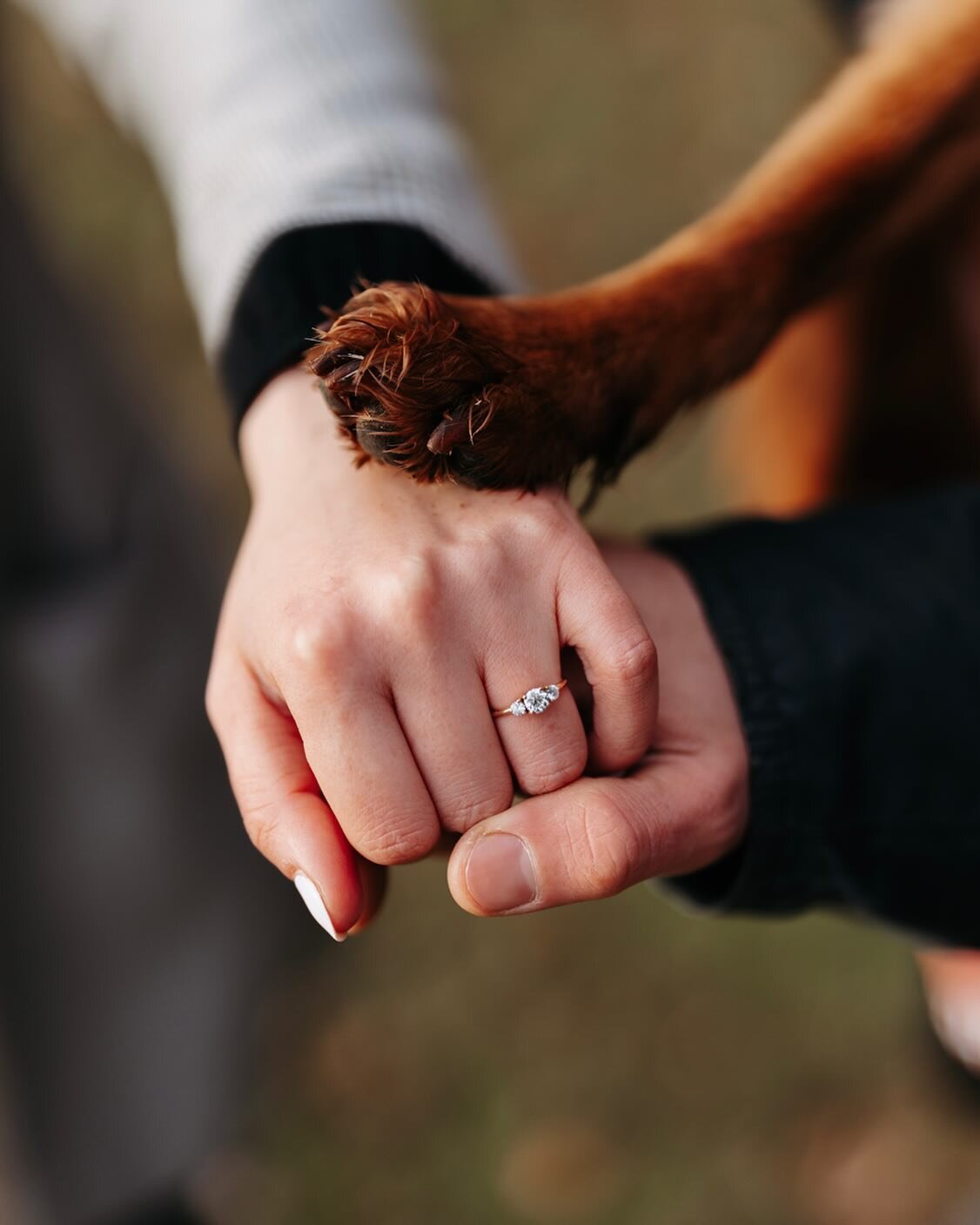 💍 🐾 

#engagement #weddingphotography