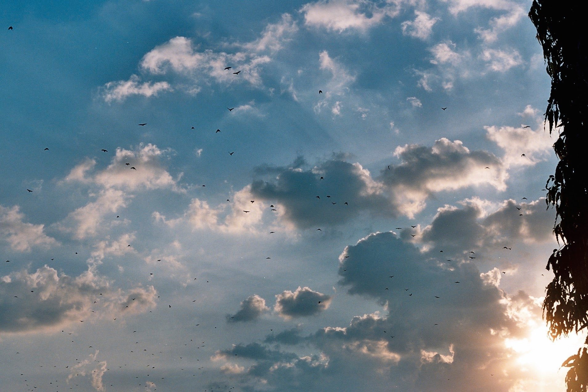 a poem and pondering on asymmetry