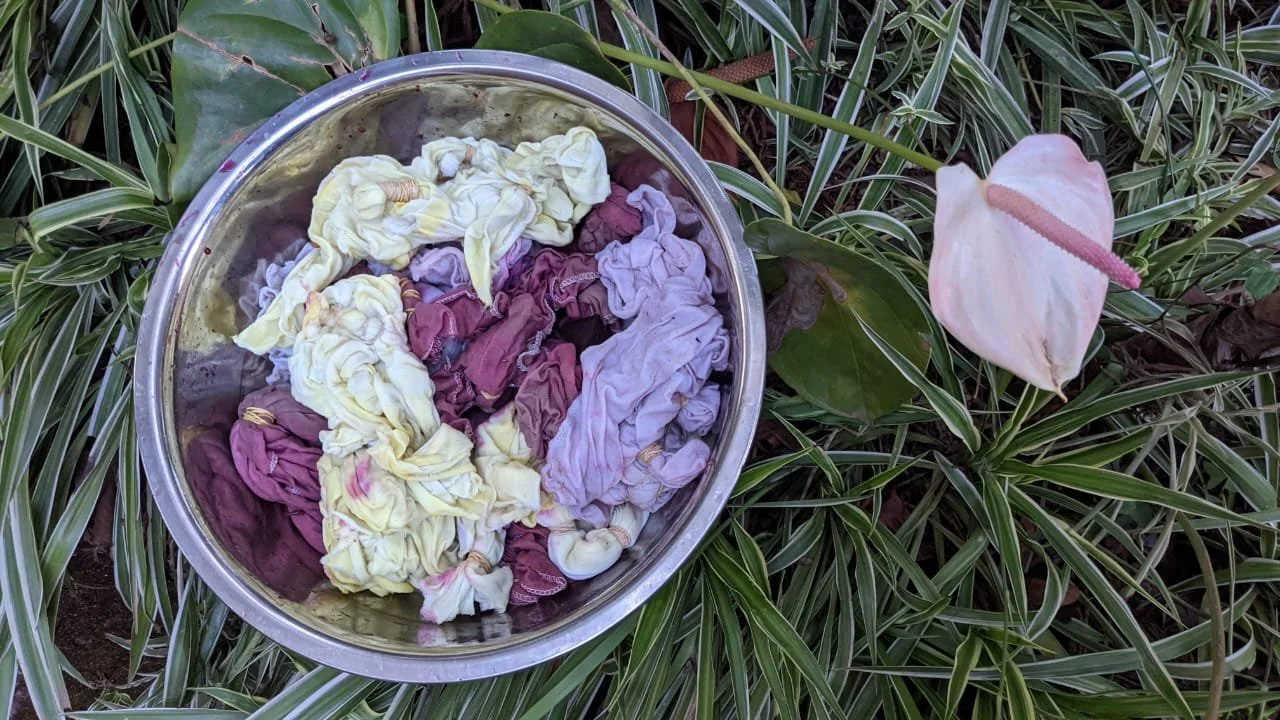 WhatsApp Image 2023-07-23 at 17.51.59.jpeg