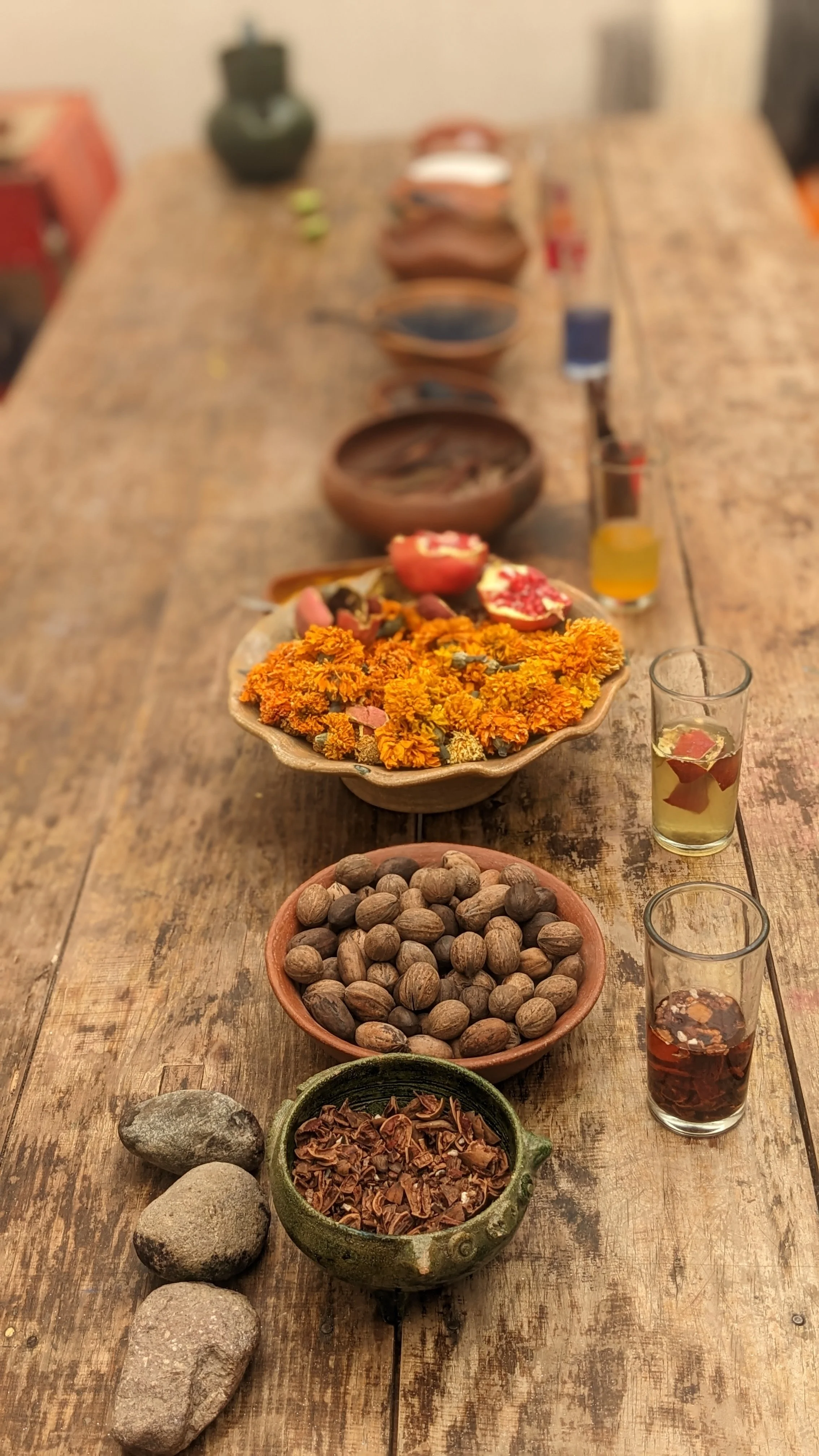 One to One Ayurvedic Consultation