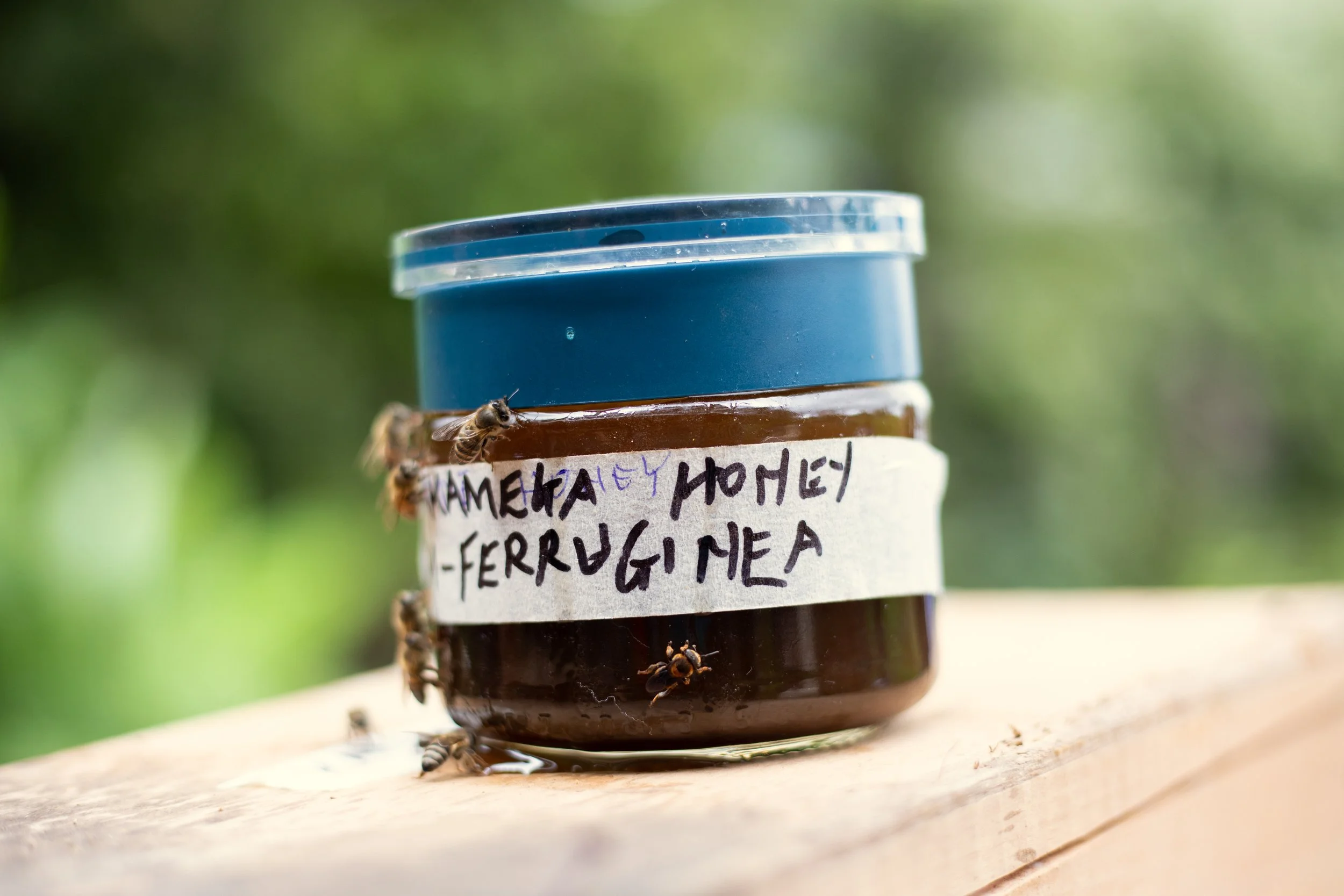 Browns Cheese Farm-Exploring Longevity Newsletter-129.jpg