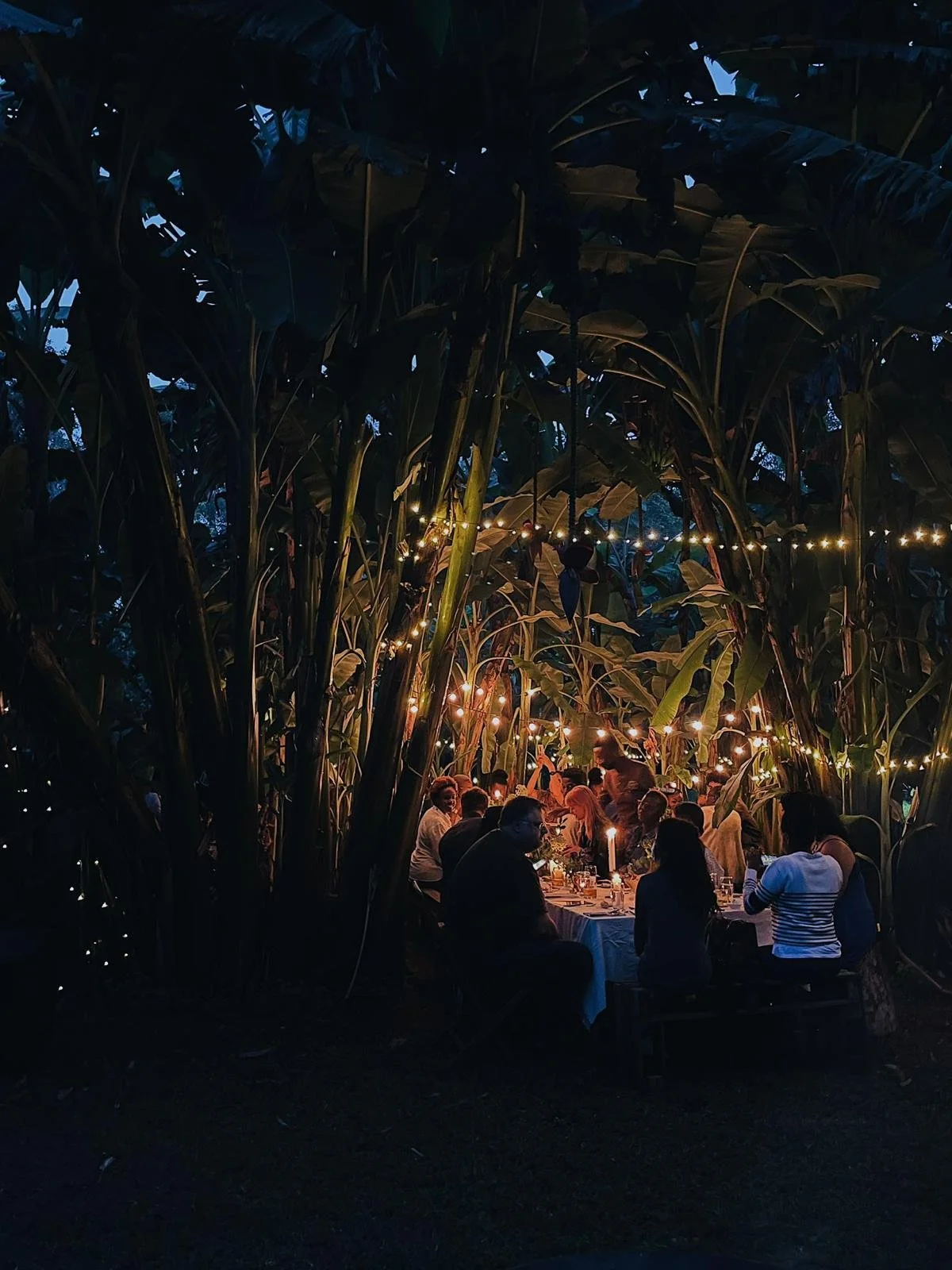 WhatsApp Image 2023-07-22 at 20.27.29.jpeg