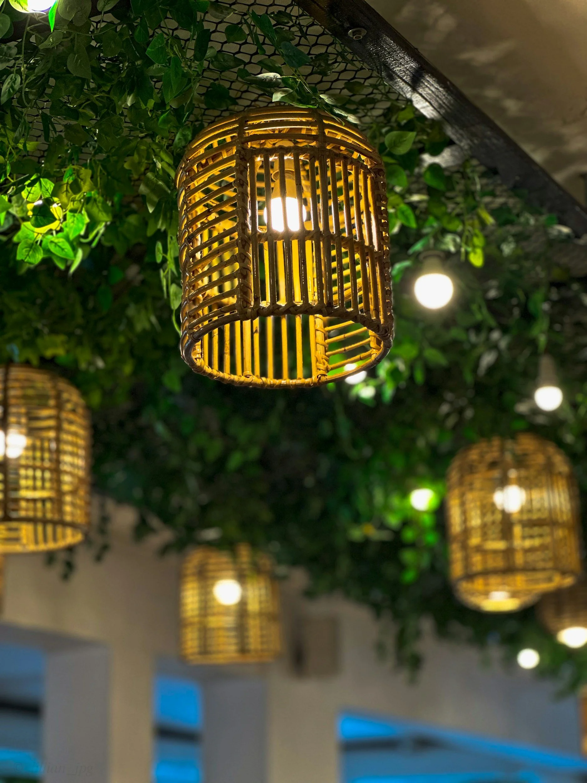 Rattan lantern hanging from ceiling surrounded by hanging lights and green foliage, creating a cozy, natural ambiance.