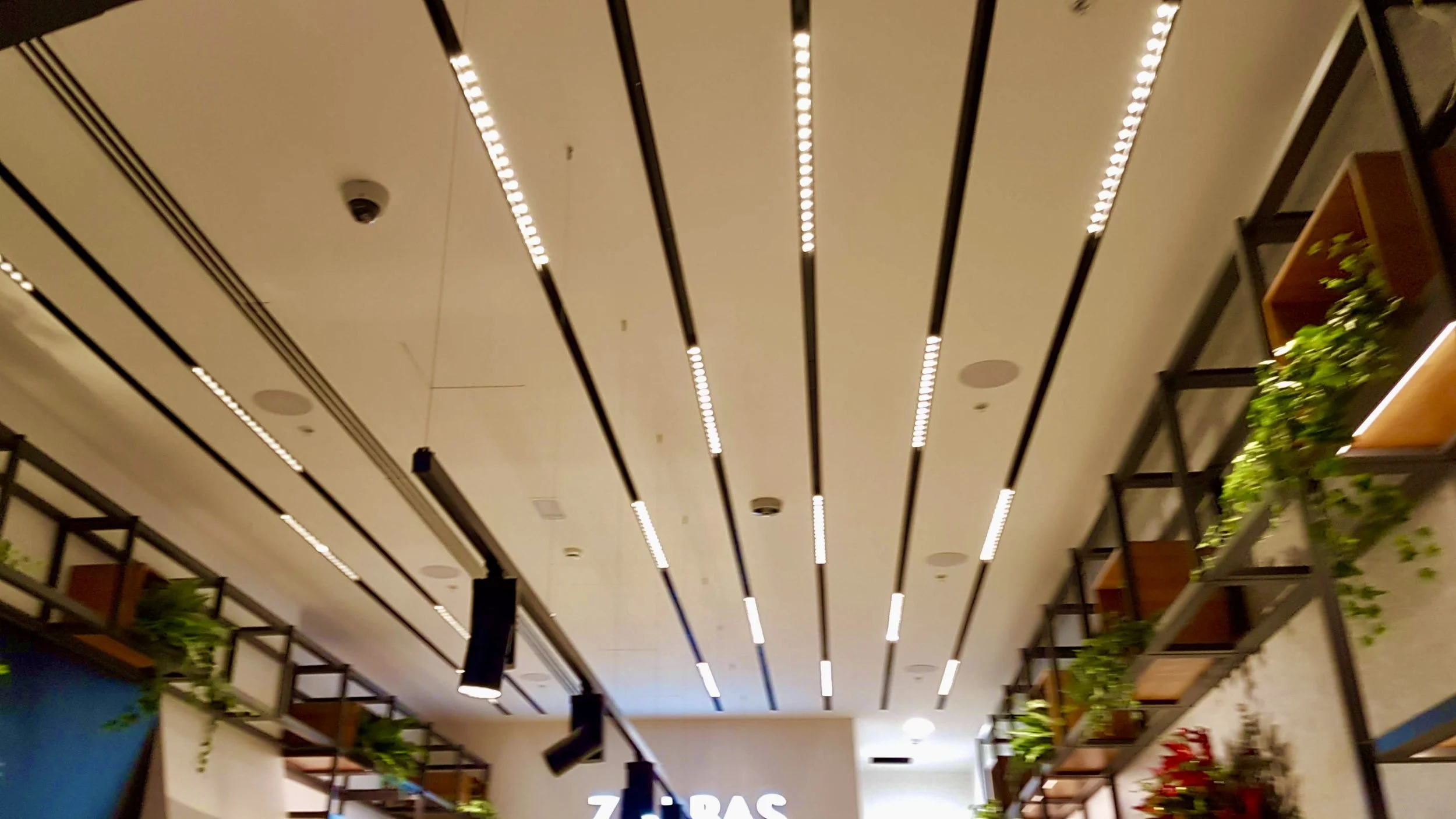 Ceiling with parallel modern LED light strips and black beams, surrounded by metal shelves with green plants and decorative elements.
