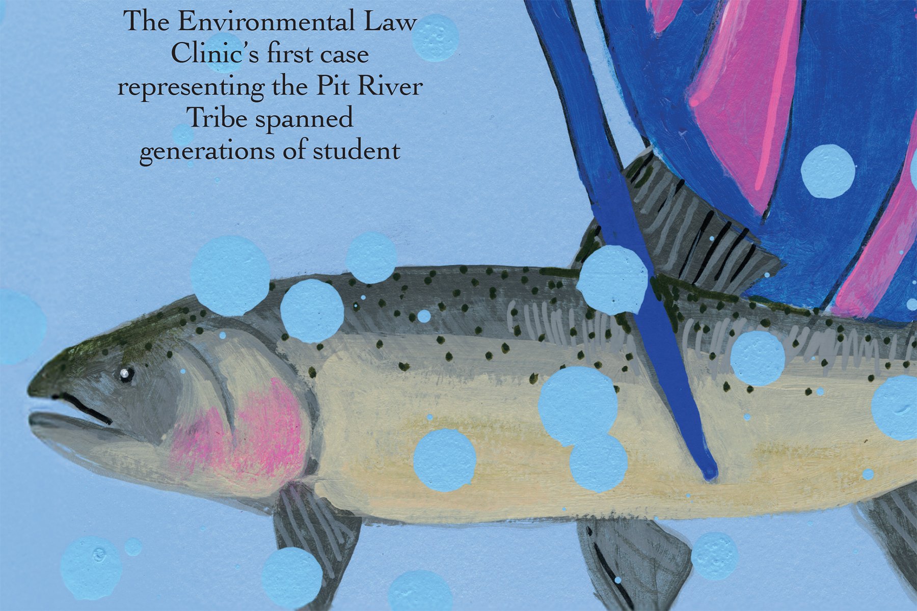 Stanford Lawyer Magazine