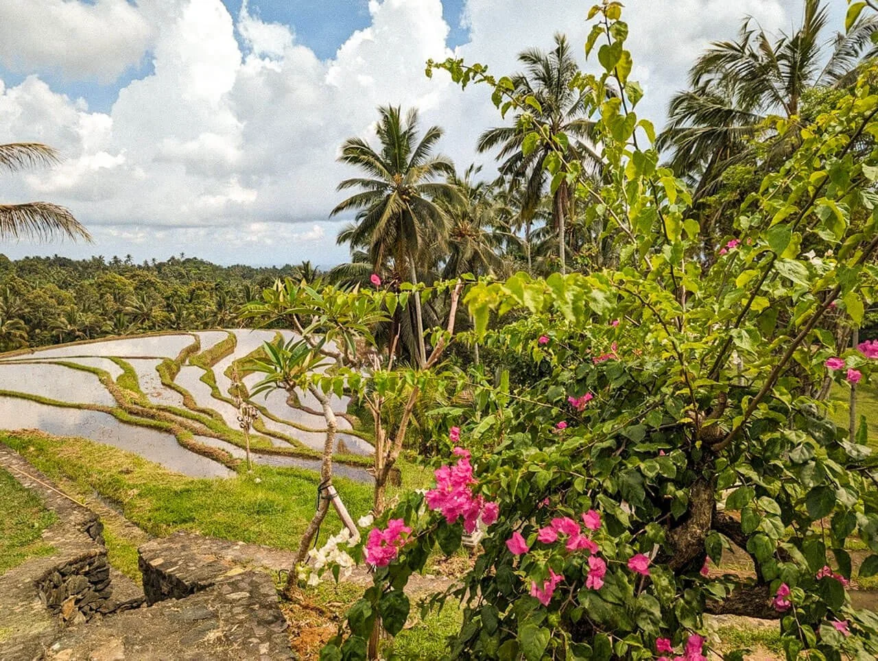 Puri-Dajuma-Terrace-Eco-Lodge-Spa-Bali-View-from-Villa-1-1415x1066.jpg