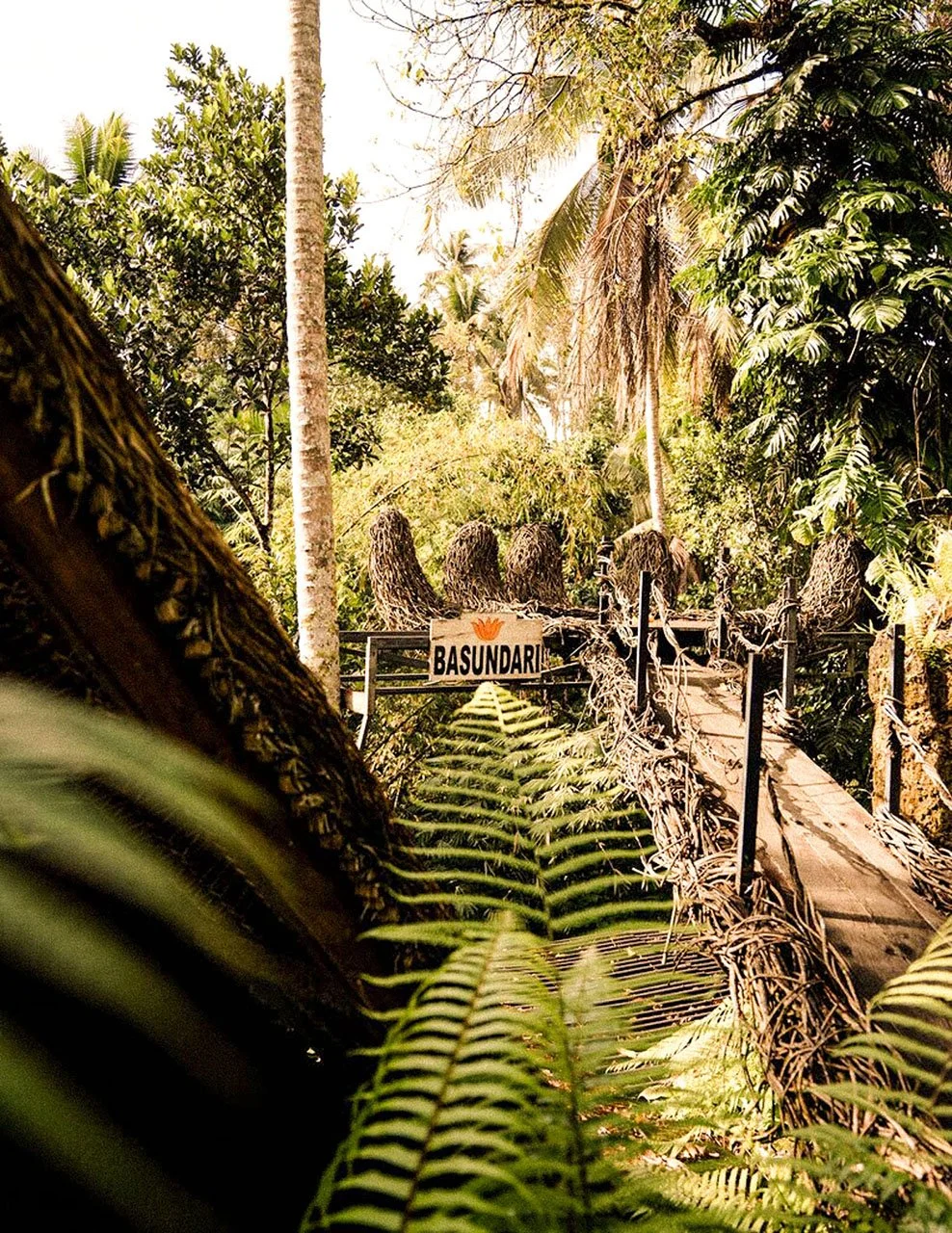 meditation-in-jungle-event-venue-bali-ubud.jpg
