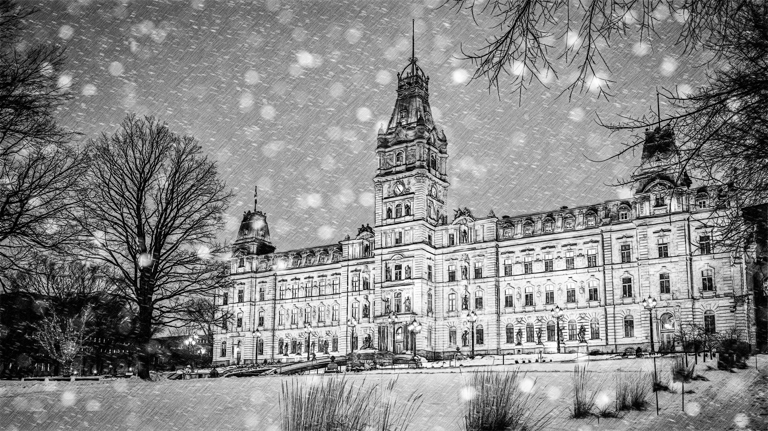 20230801-Plaines d'Abraham 17 JAN 2023146.jpg