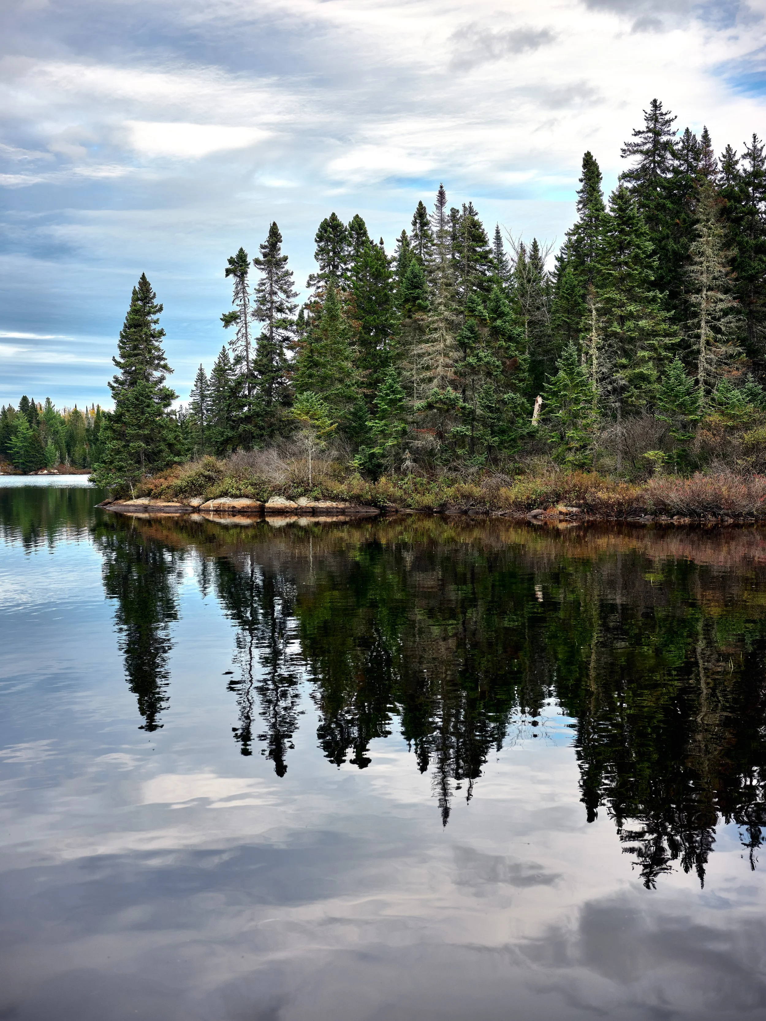 20201009-Photos_Divers_2023Parc Mauricie 09-10-2020_RAW_840 1.jpg
