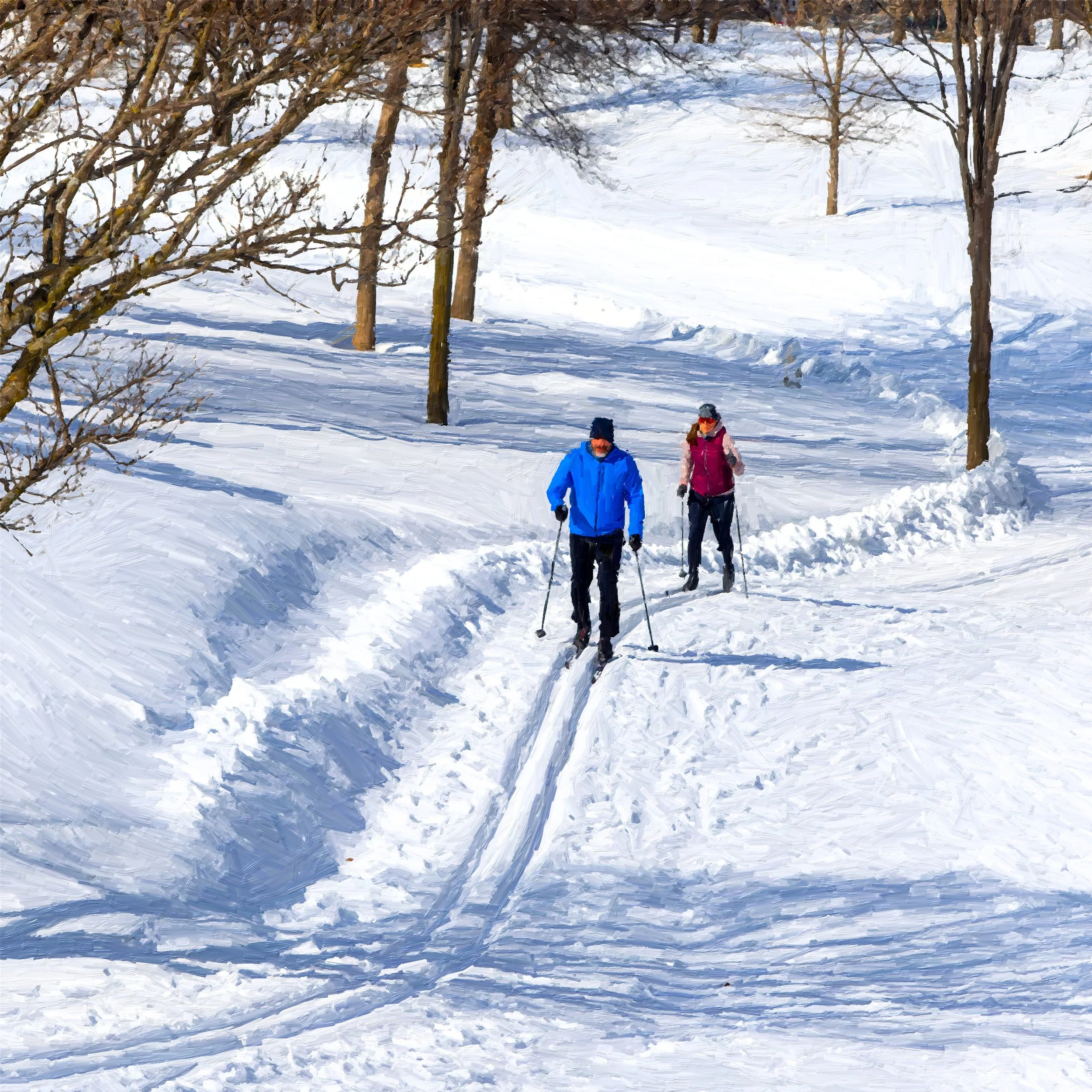 20230330-Plaines d'Abraham__3300016-ORF_DxO_DeepPRIME.jpg