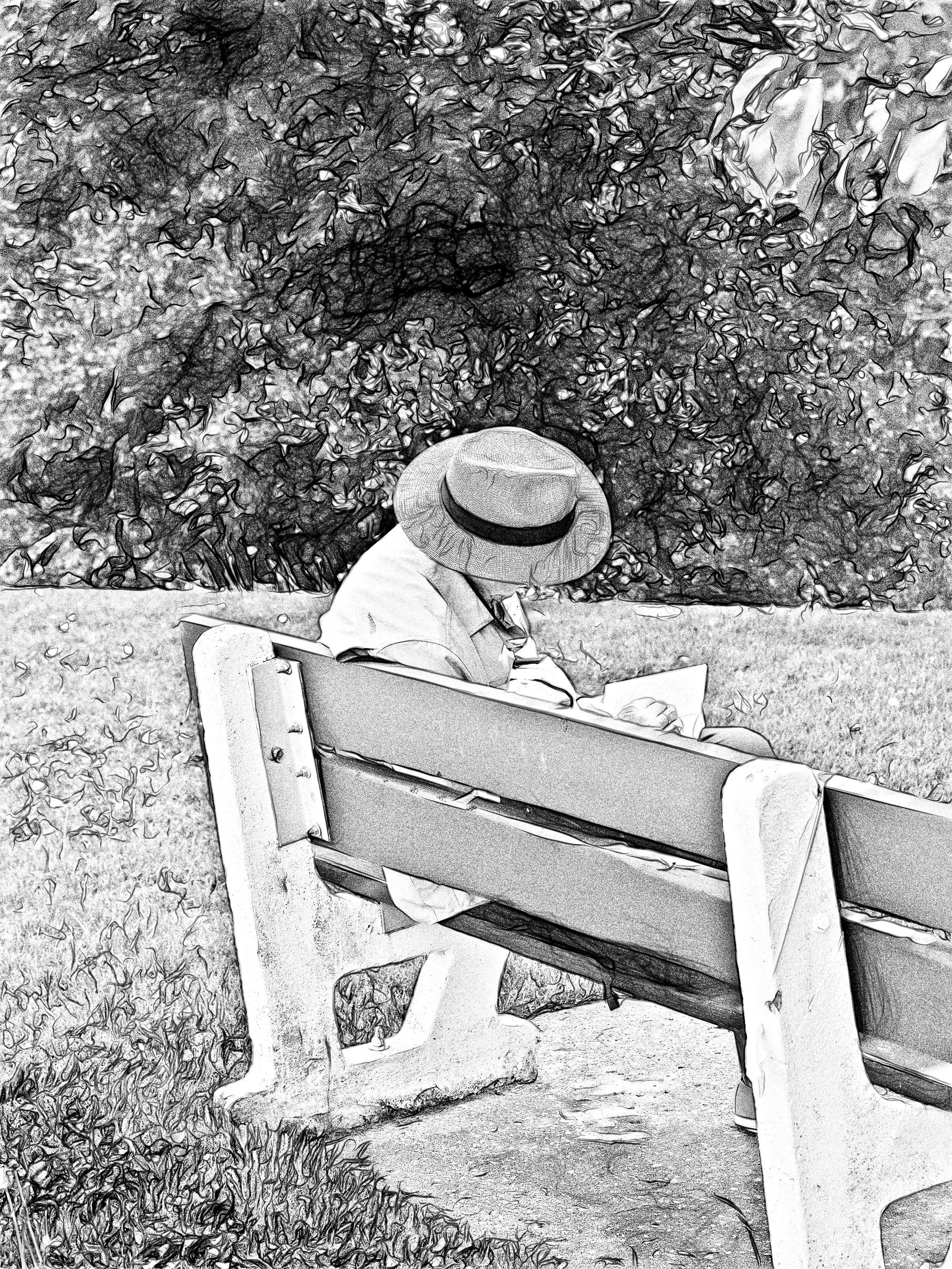 20240206-20230611-Plaines d'Abraham 09-05-2023__OM10081-ORF_DxO_draw.jpg