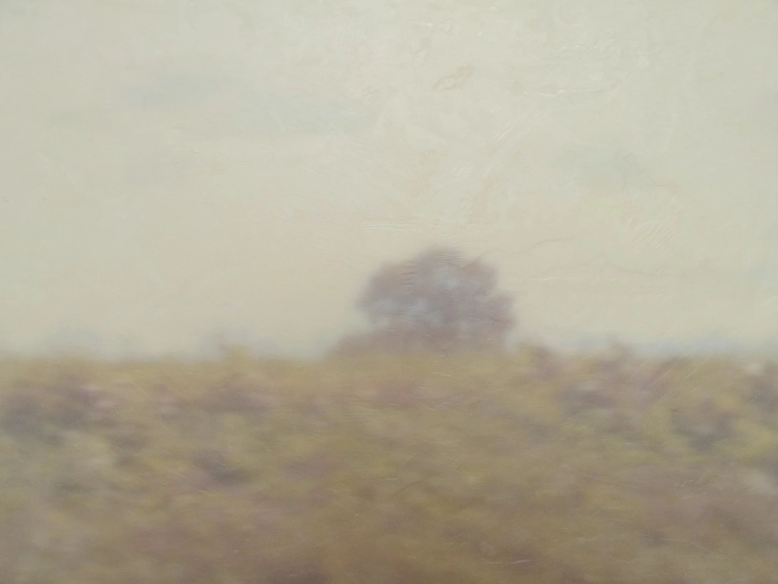 tree.jpg
