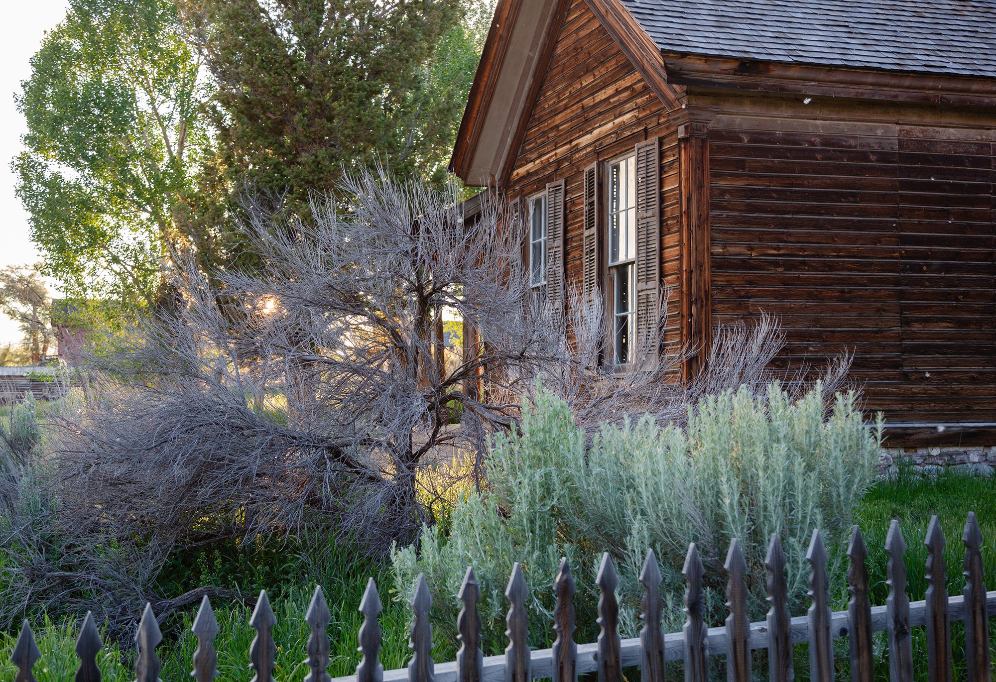 Bannack Montana