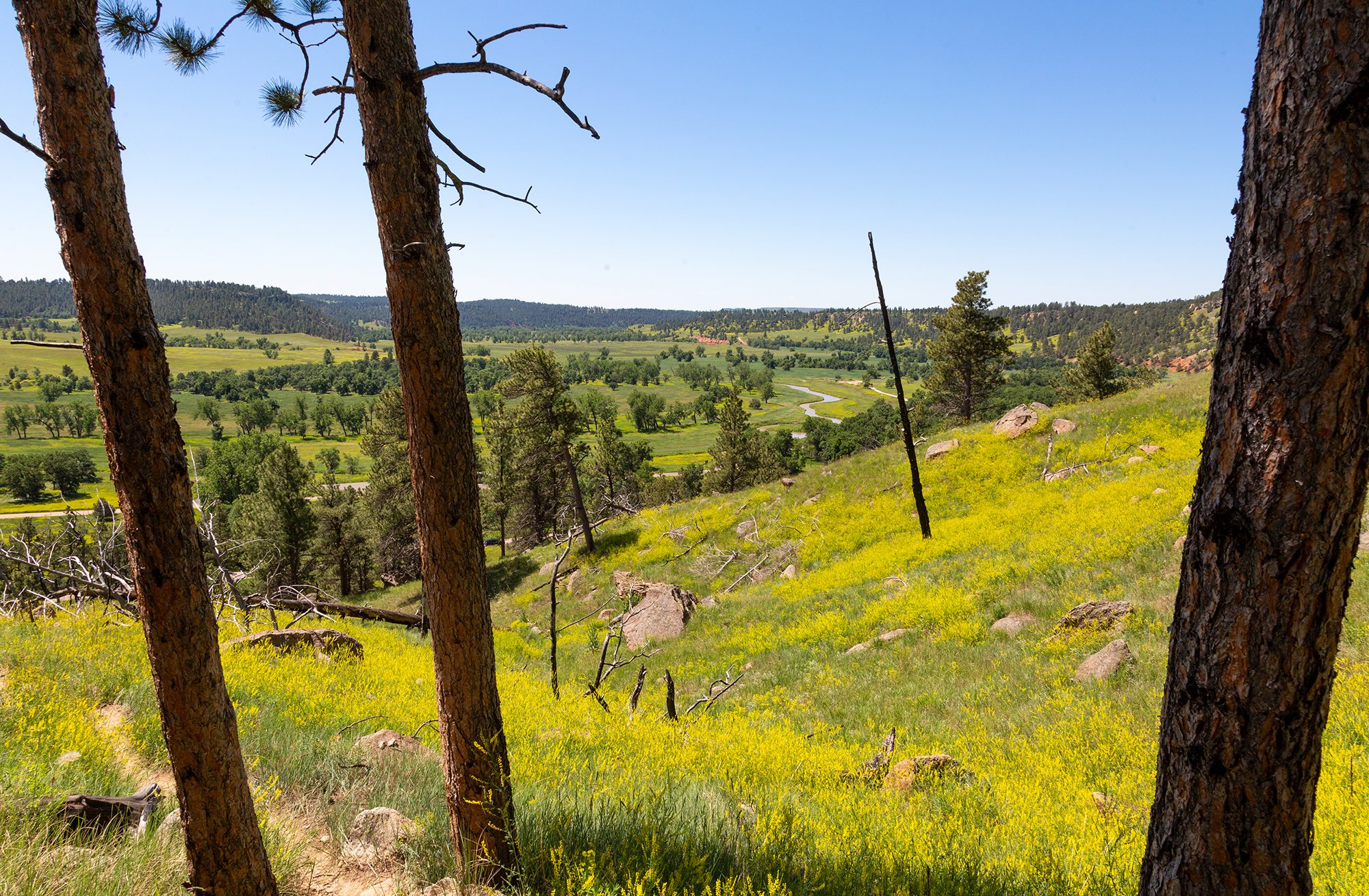 South Side Trail - Devils Tower