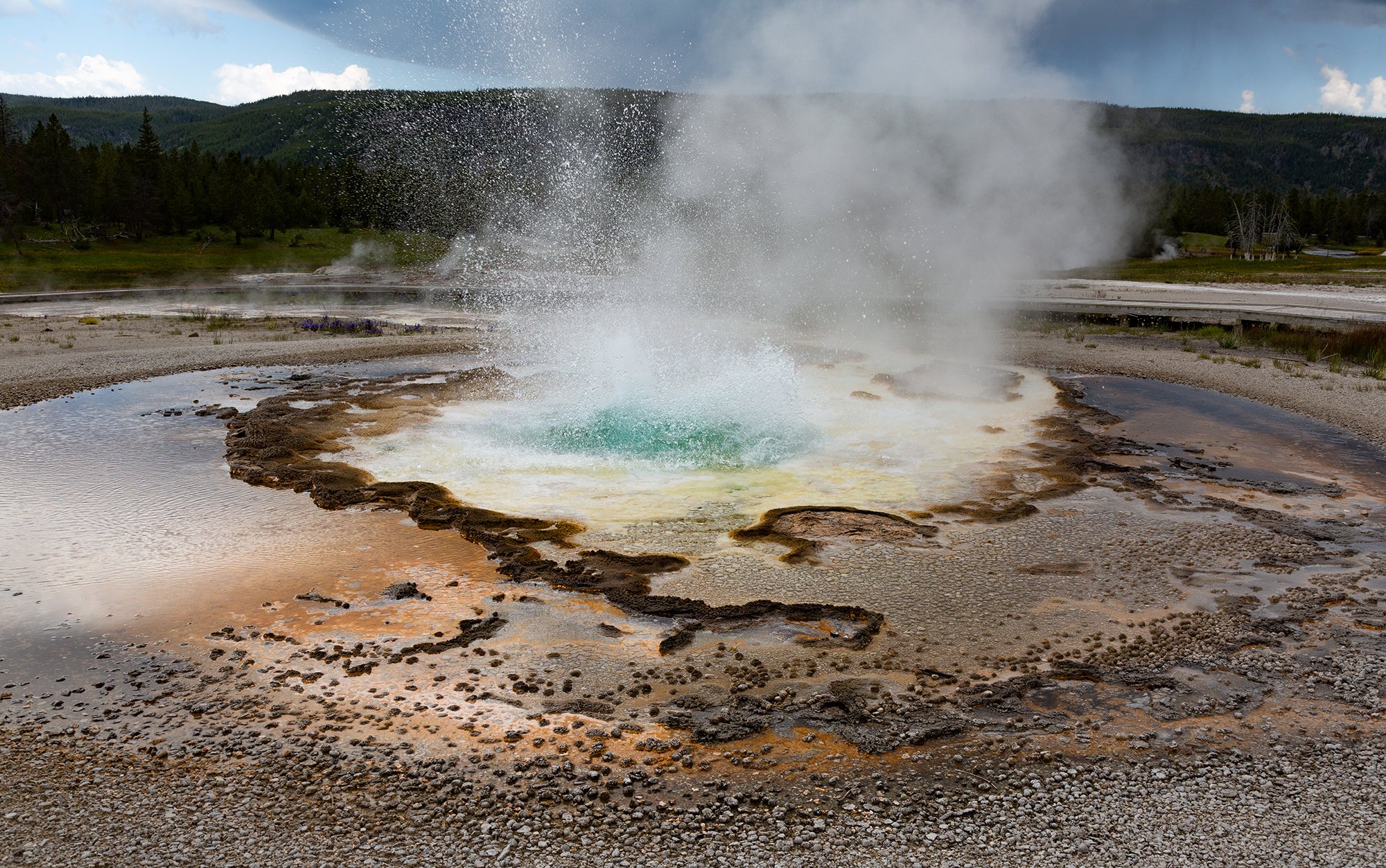 Tardy Geyser - Yellowstone