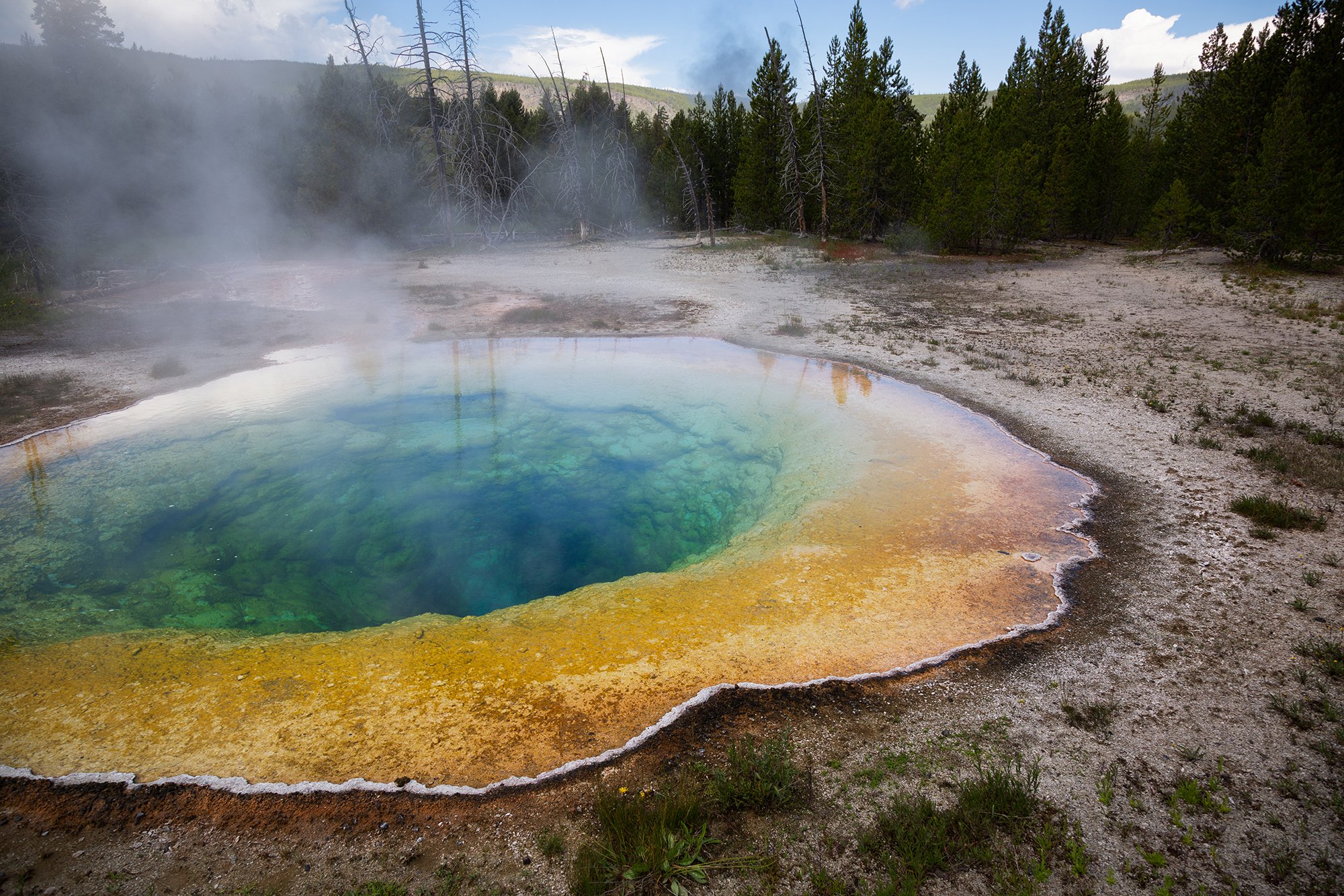 Morning Glory Pool - Yellowstone
