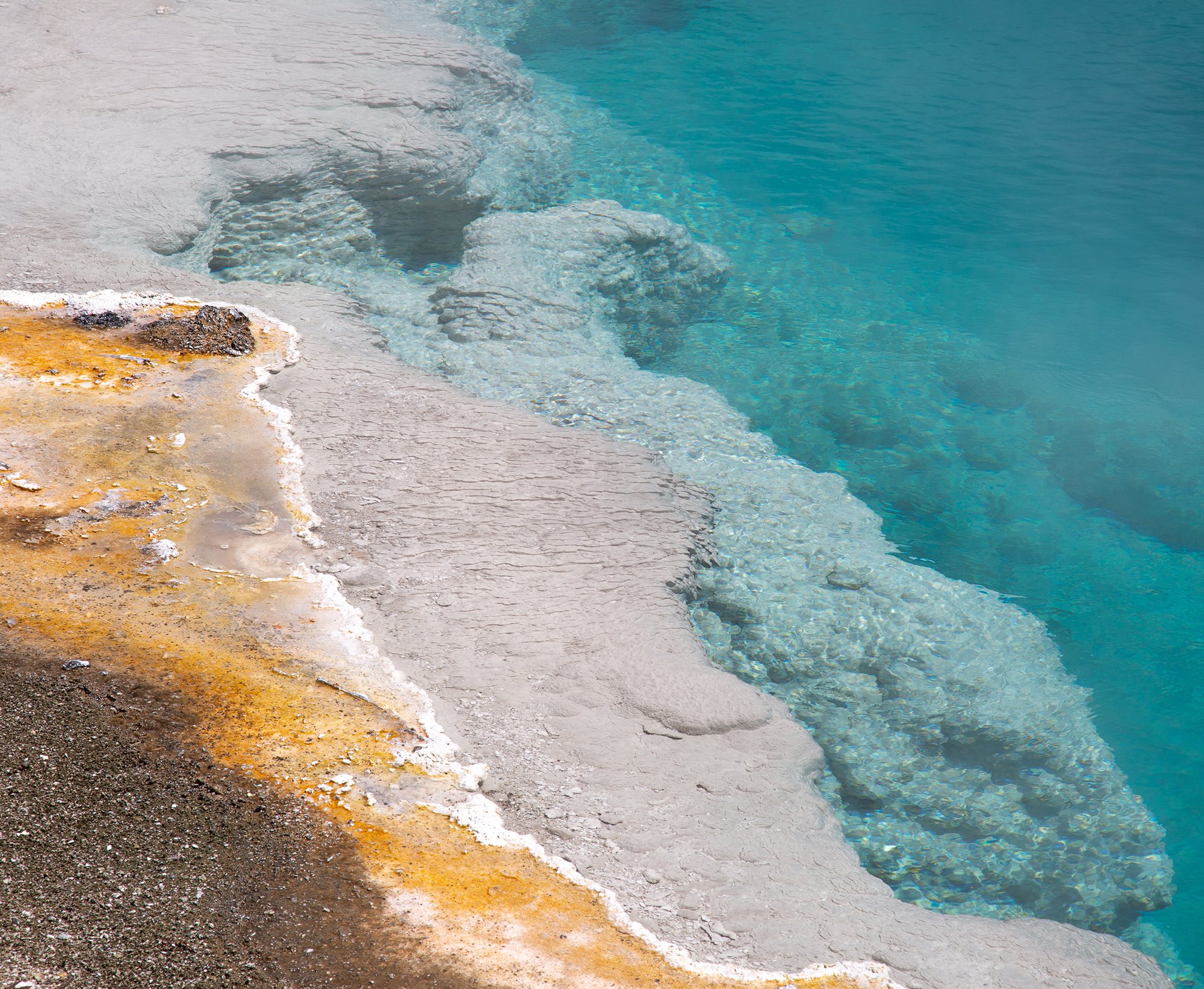 Black Pool Detail - Yellowstone