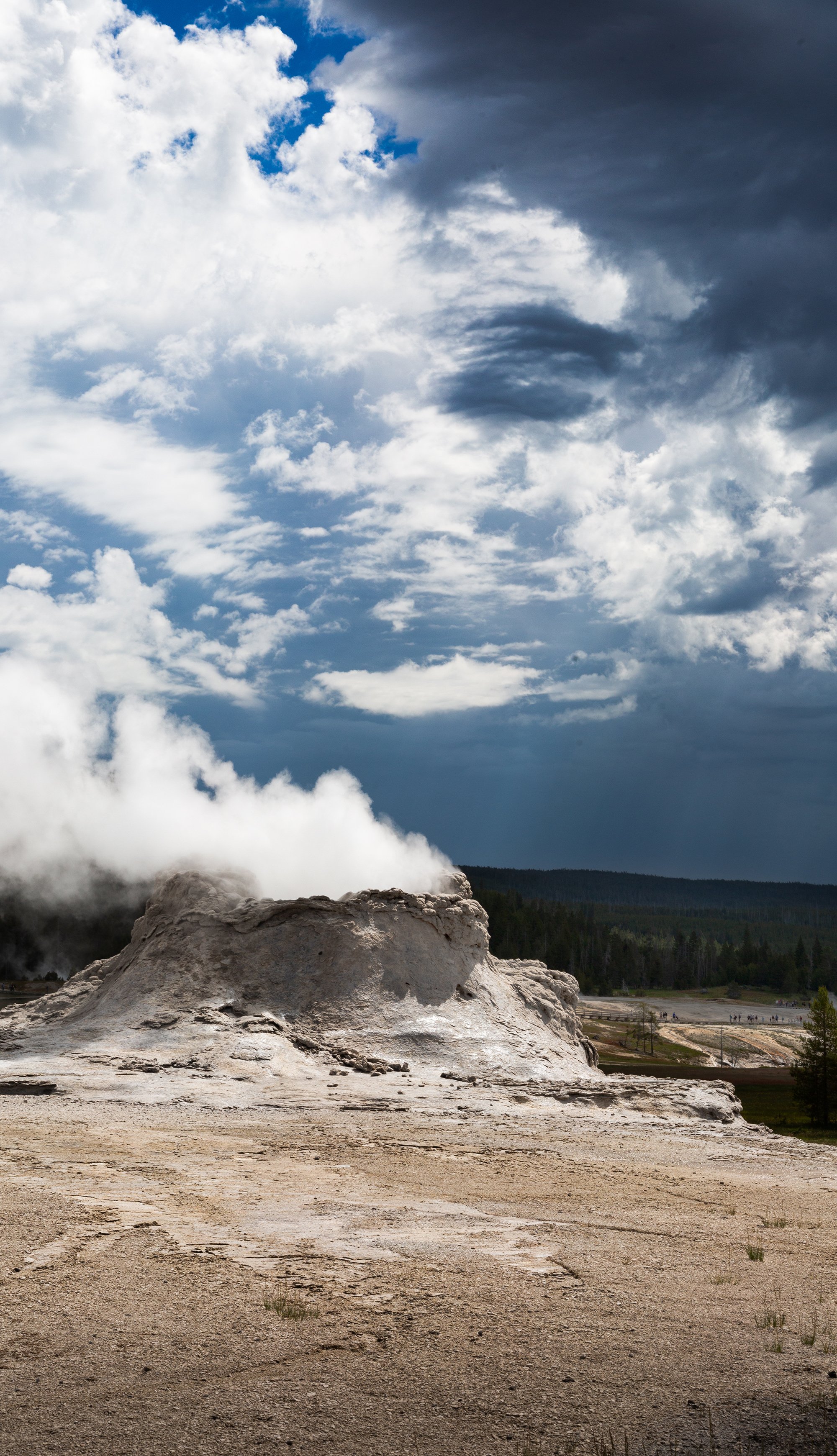 Castle Geyser - Yellowstone