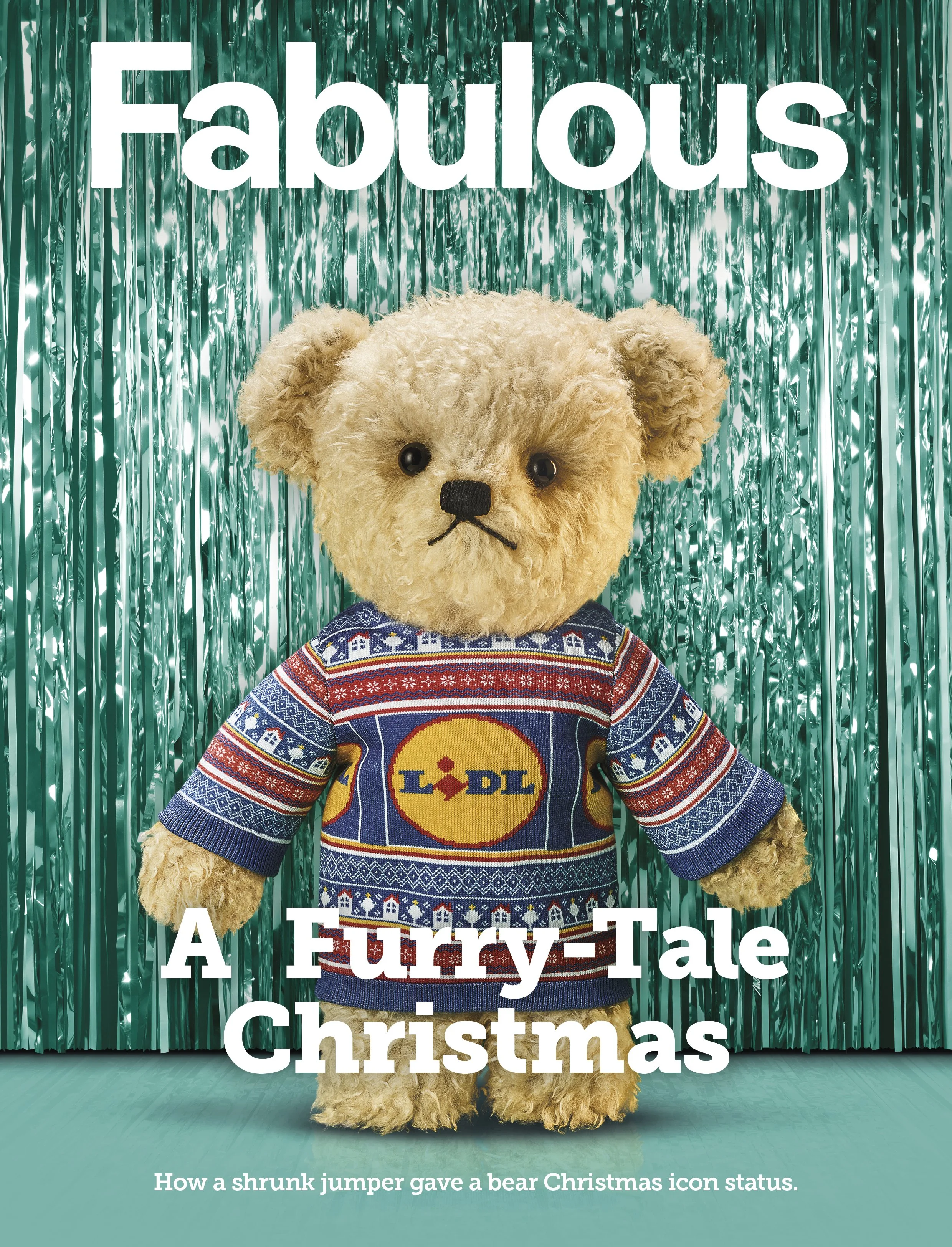 LIDL_BEAR_COVER_FABULOUS.jpg
