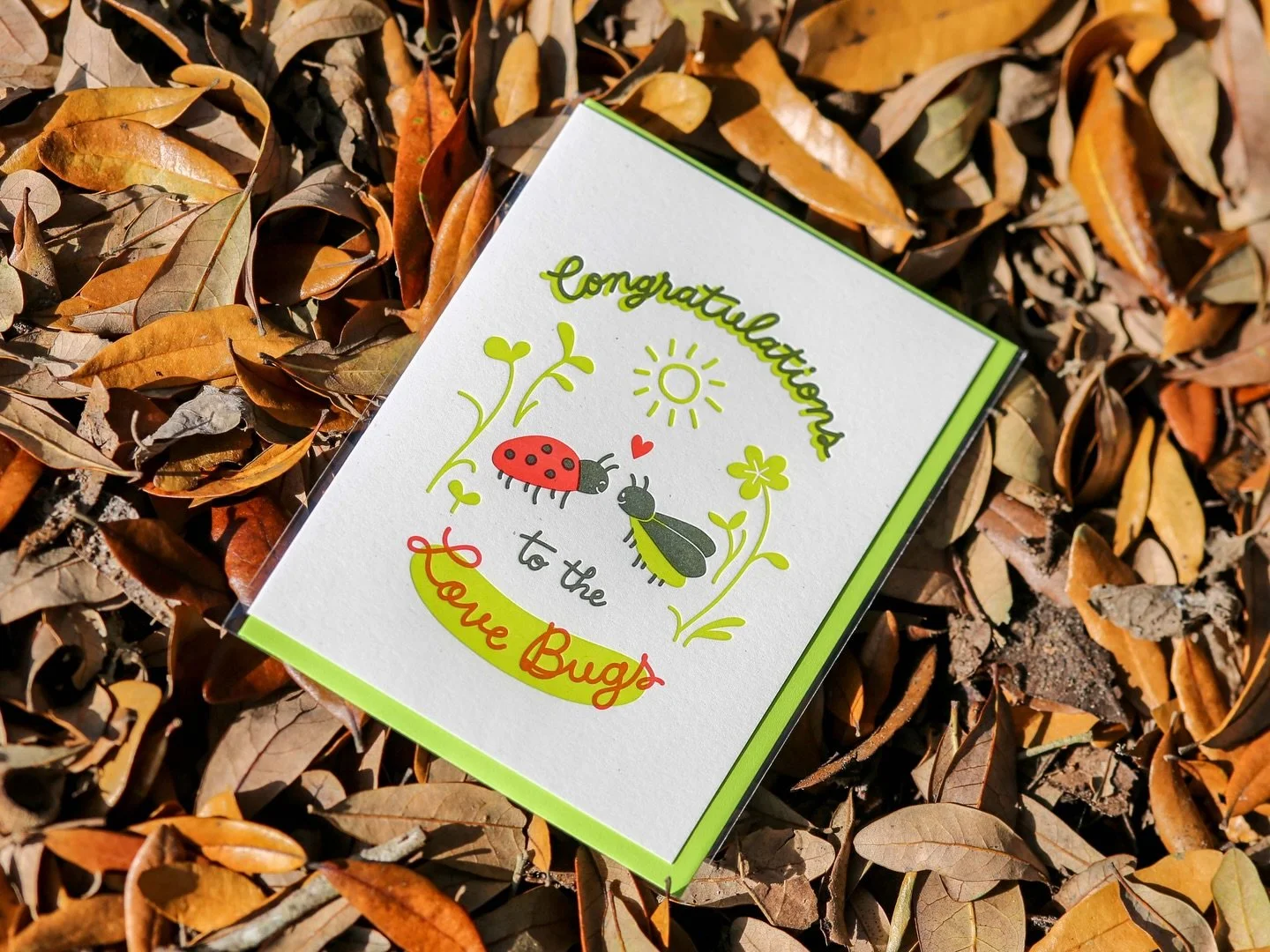 🐞 🐜 🐛 Love Bugs Spotted!

New Congratulations to the Love Bugs Letterpress Greeting Card are available online and @spinsterabbotts as well as wholesale via Faire!